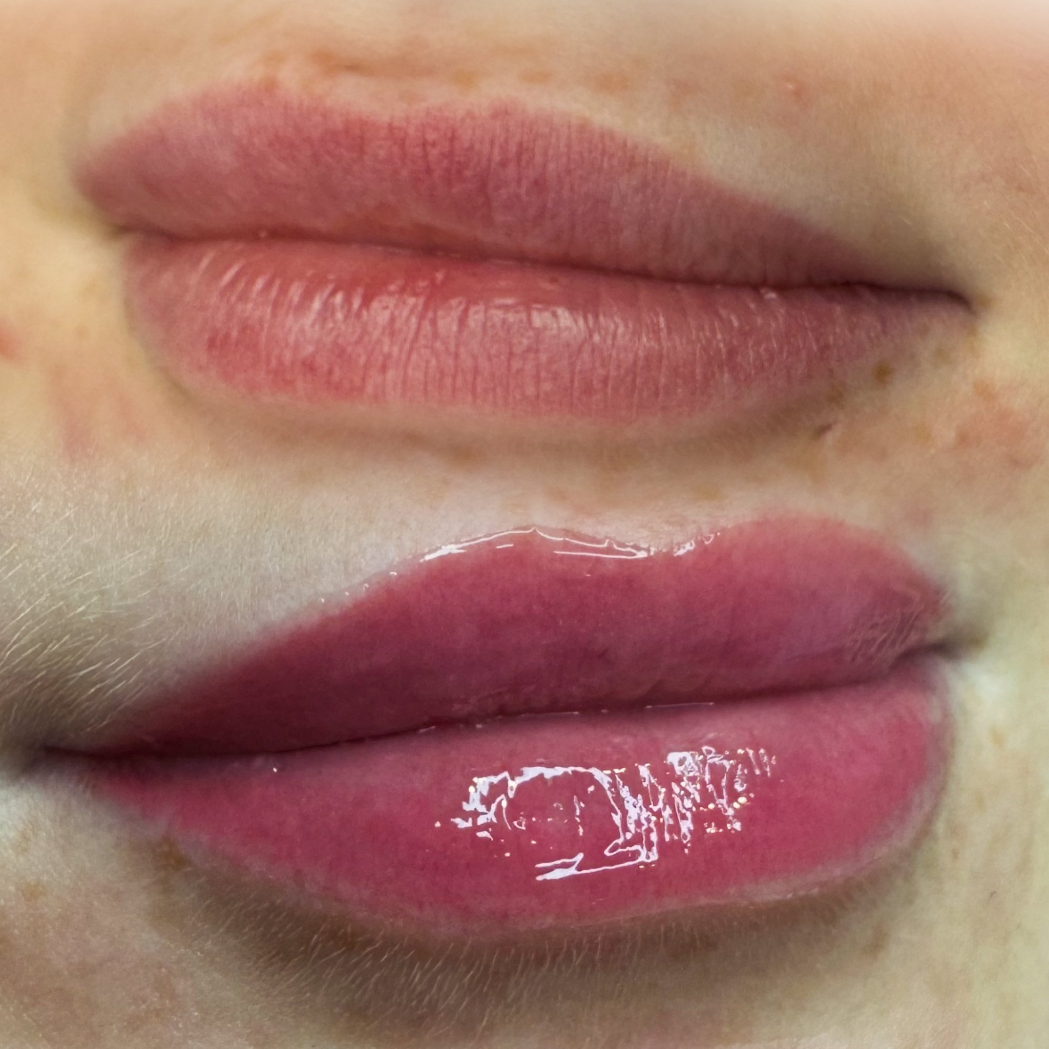 Close-up of lips, showing two different lipstick finishes: matte on the upper lip and glossy on the lower lip.