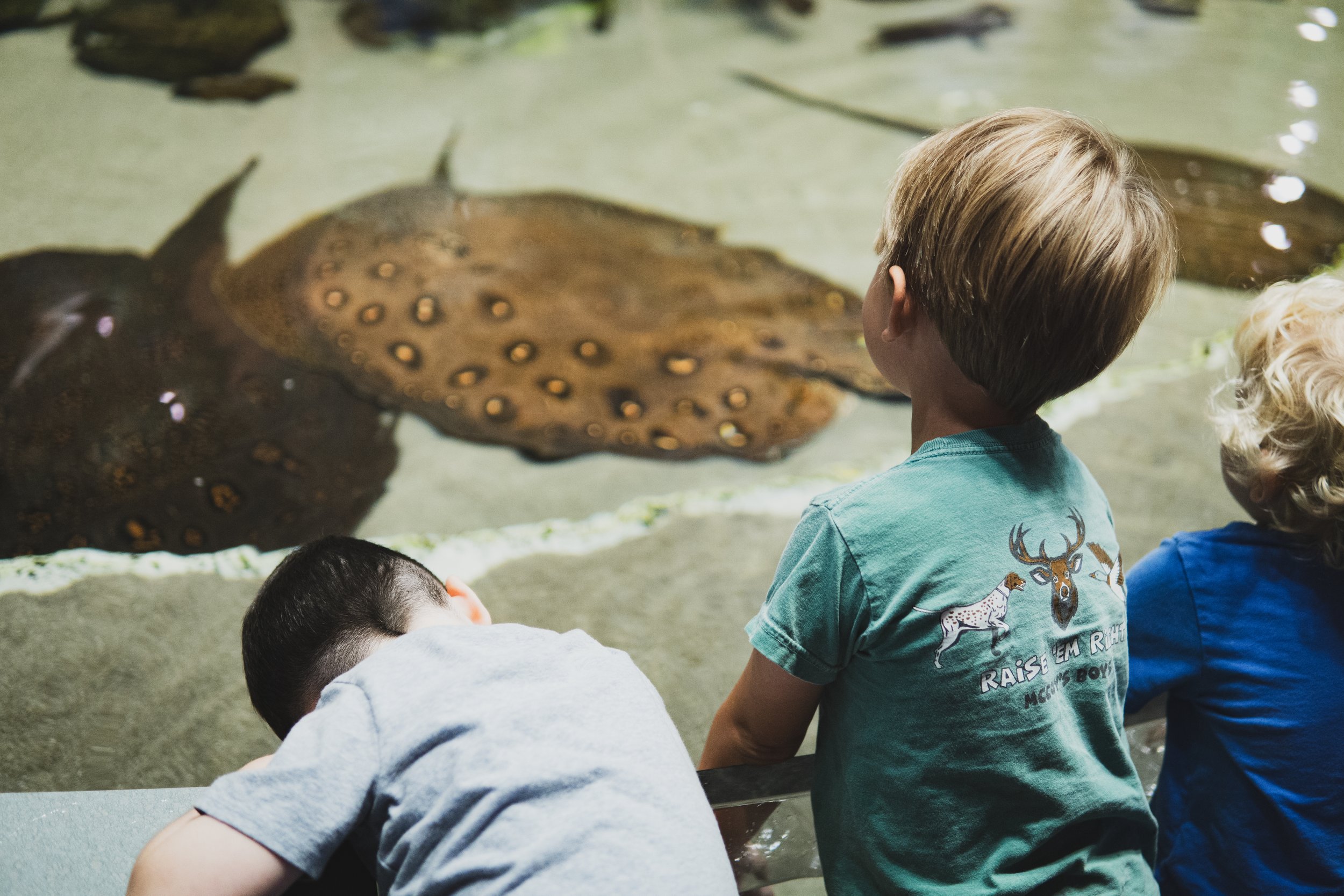 Culture and Generations-17.jpg