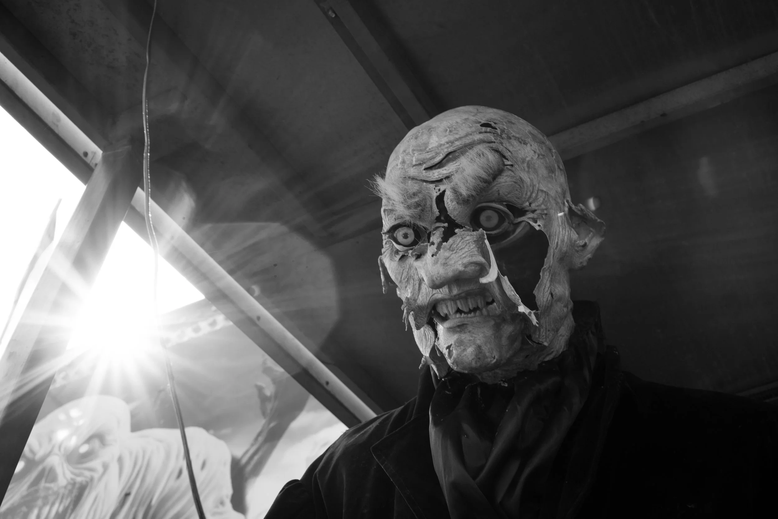 Culture and Generations-24.jpg