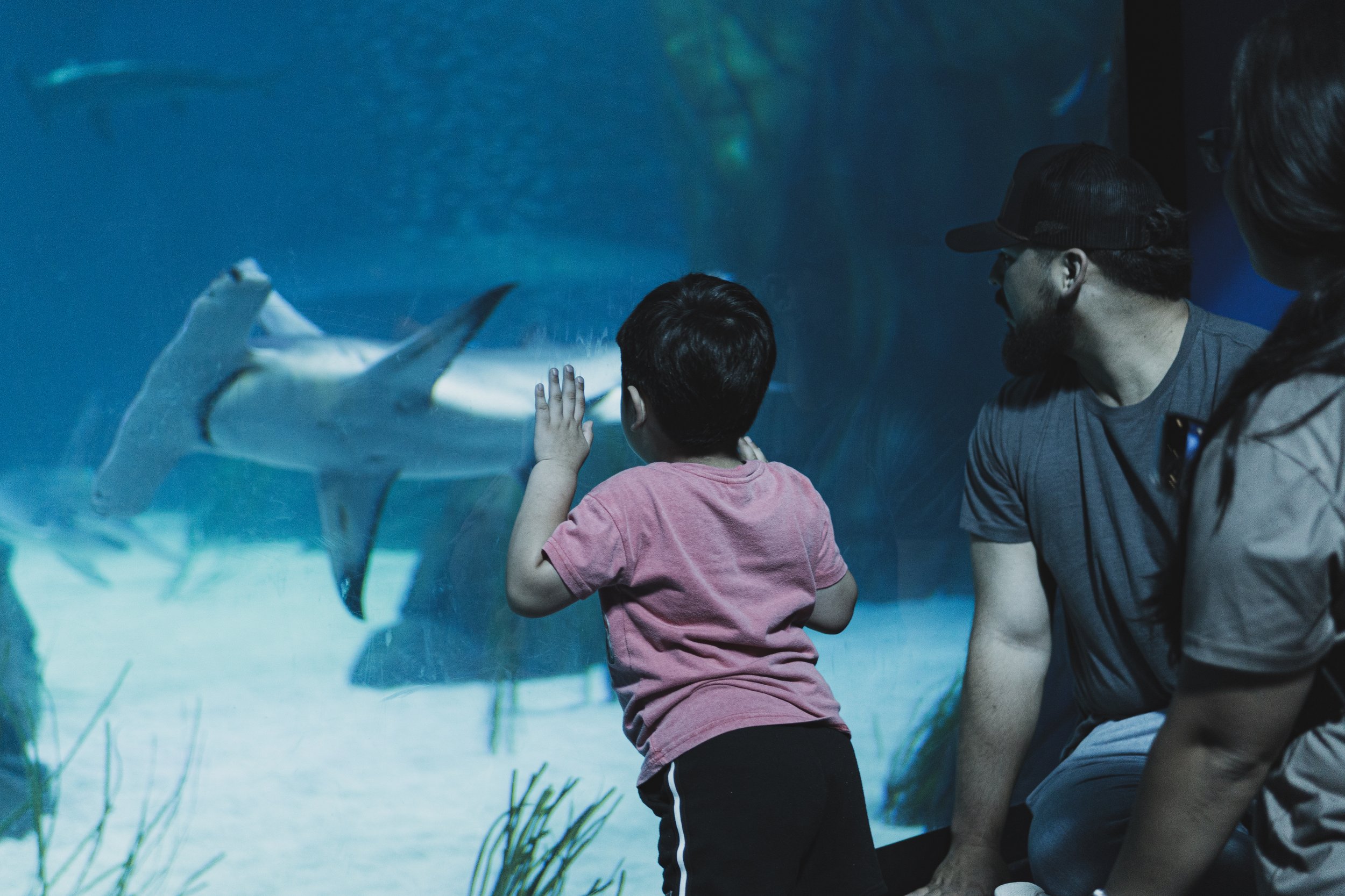 Culture and Generations-16.jpg