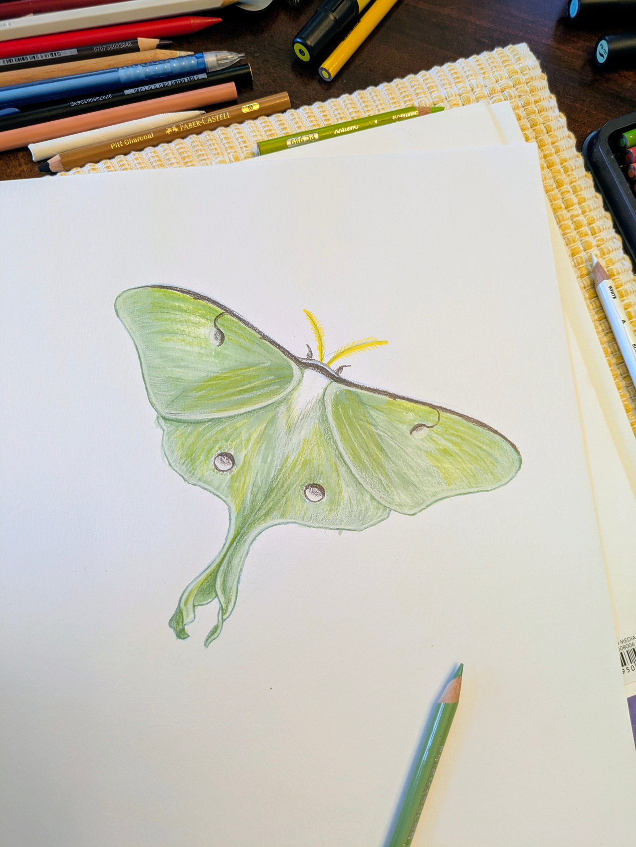 A detailed colored pencil drawing of a Luna moth on white paper, surrounded by colored pencils and art supplies on a wooden surface.