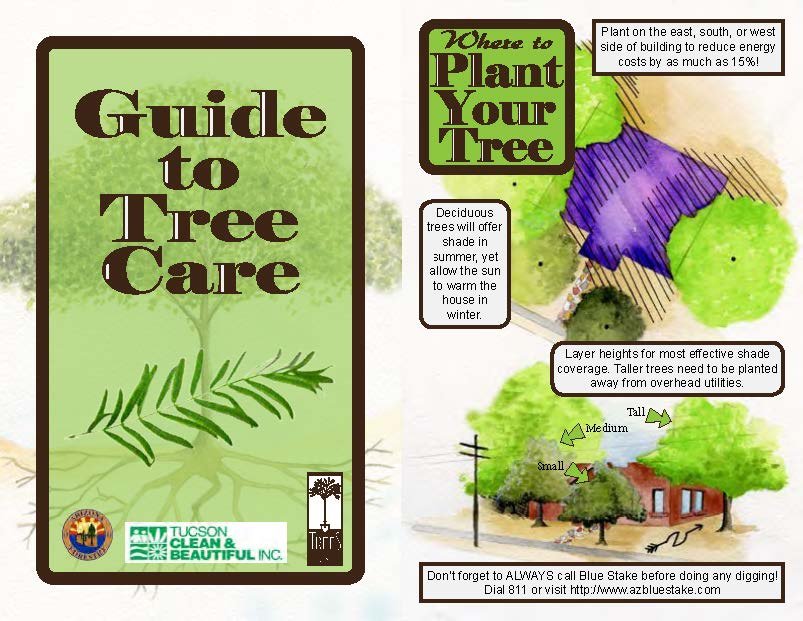 A guide about tree care with sections on planting locations, shade tolerance, and layer height for effective coverage, featuring illustrations of different trees and a house.