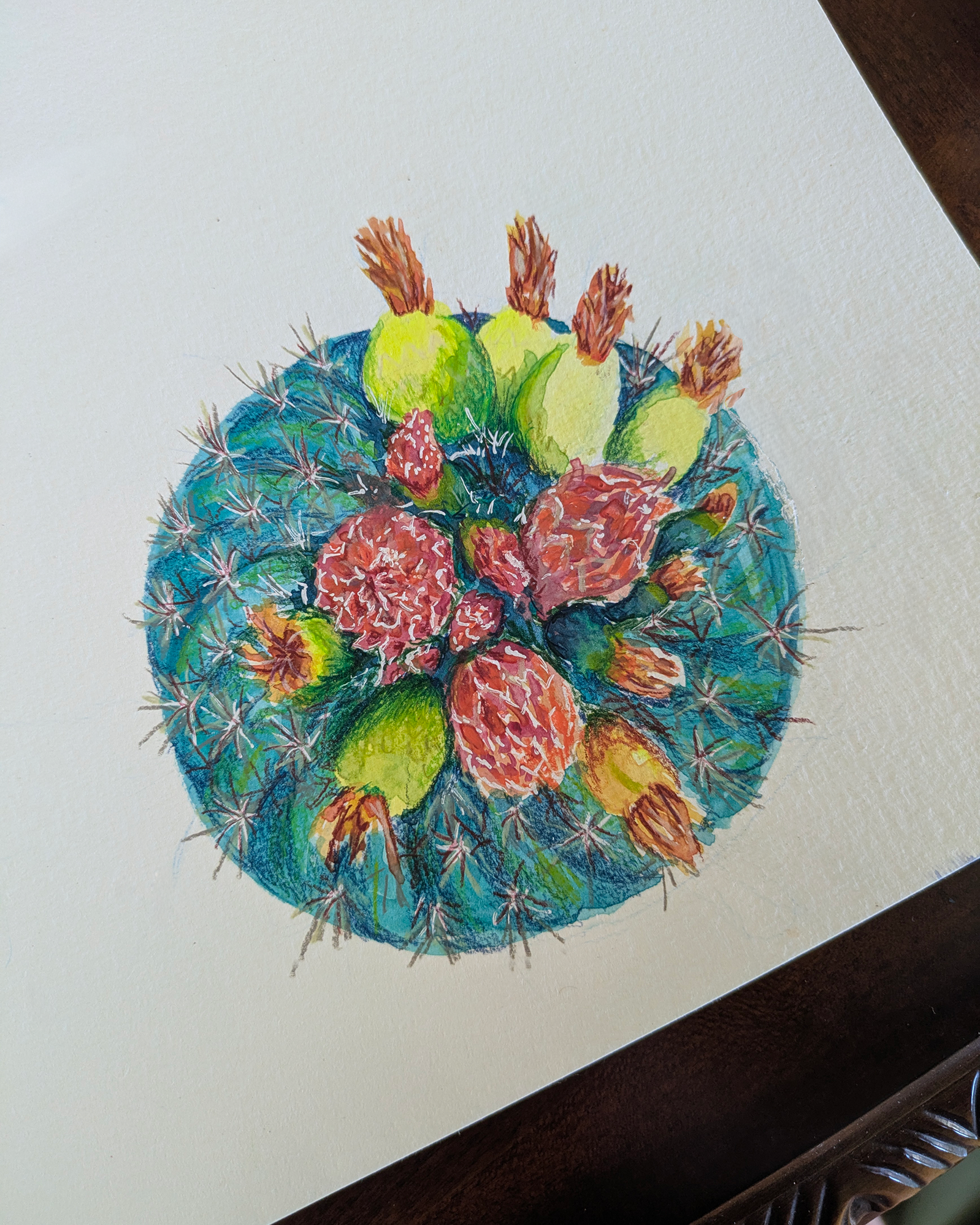 Colorful watercolor painting of a round cactus with green, red, and yellow fruit, and brown spines.