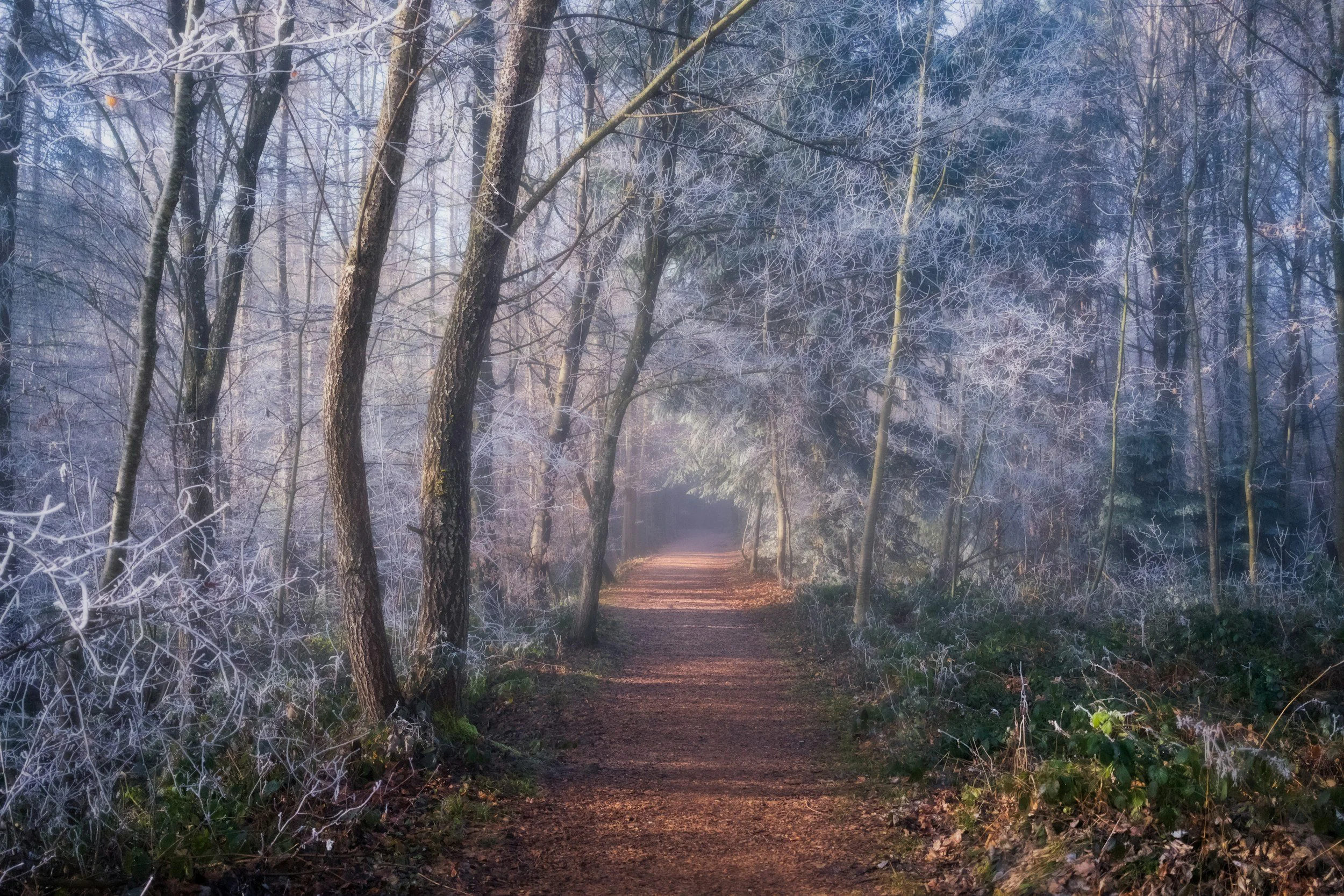 A foggy path with sunlight breaking through, representing clarity, self-respect, and moving forward from self-betrayal.