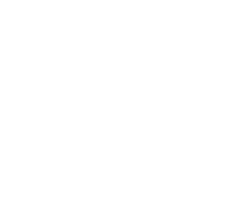 emergency response icon