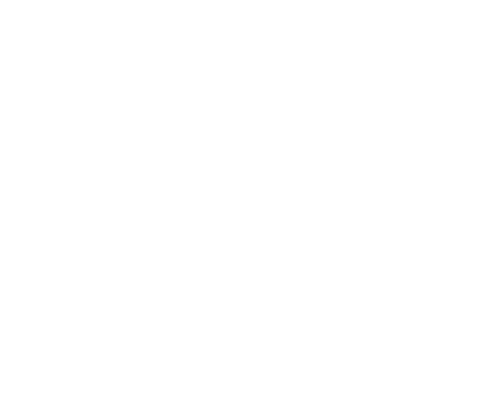 detection system icon