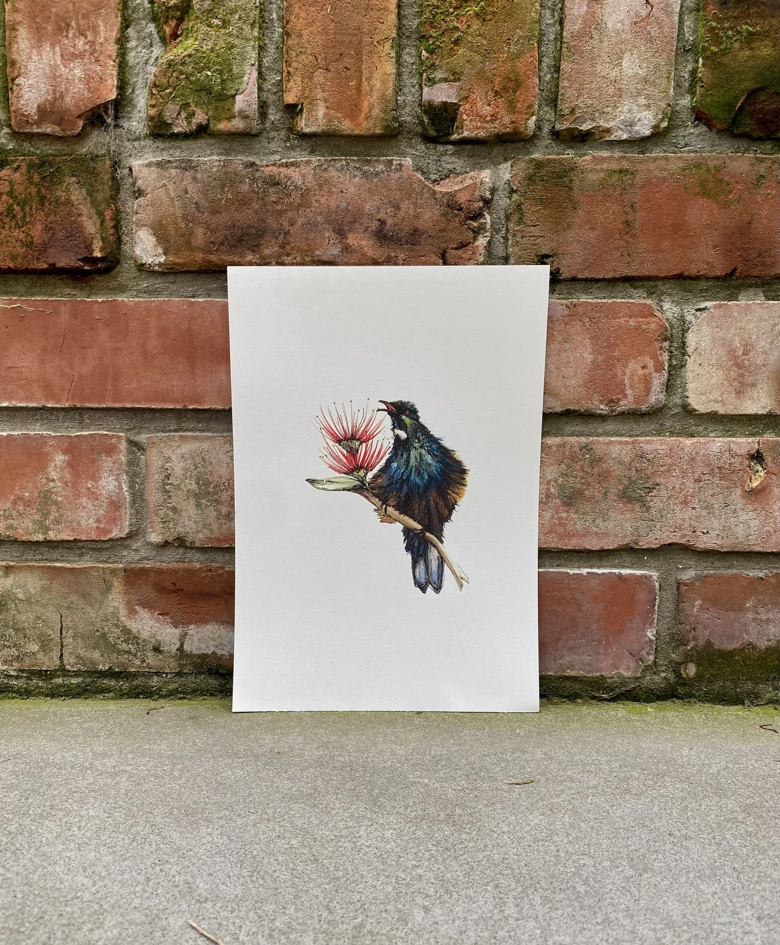 Tui print