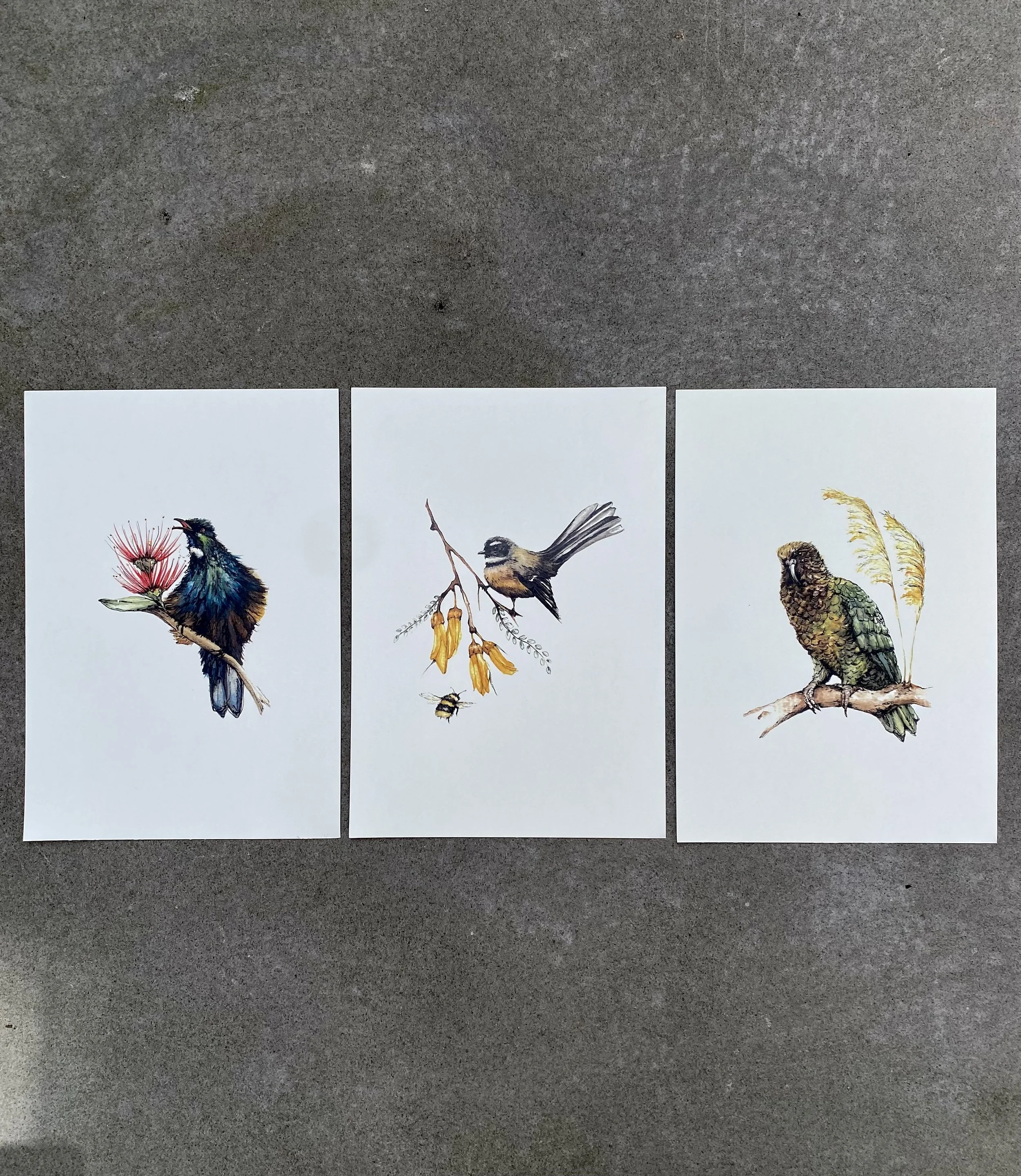 All x3 bird prints