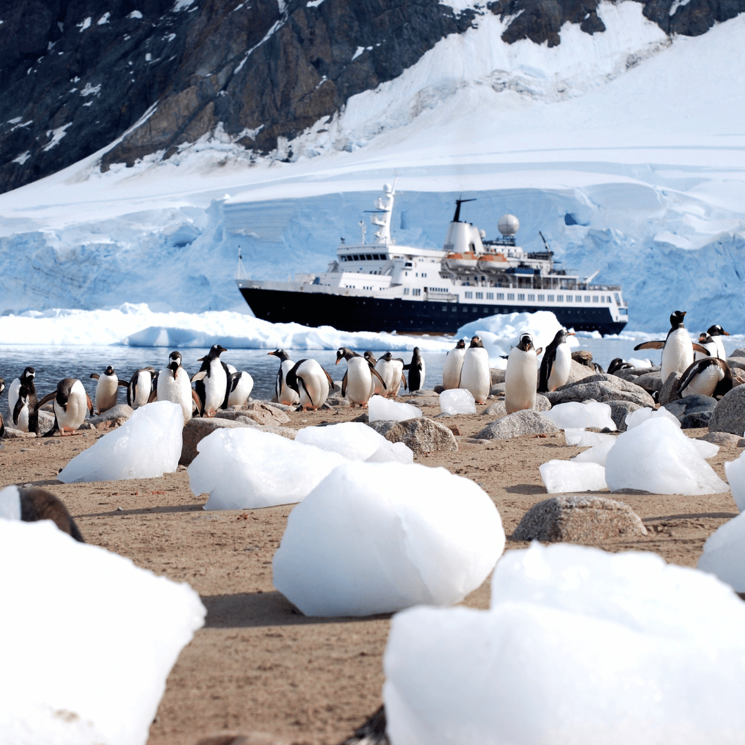 Small Ship Cruising: Beyond the Crowds