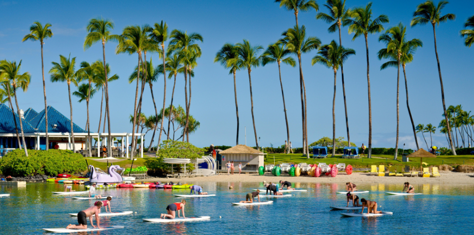 hawaii paddleboards.png