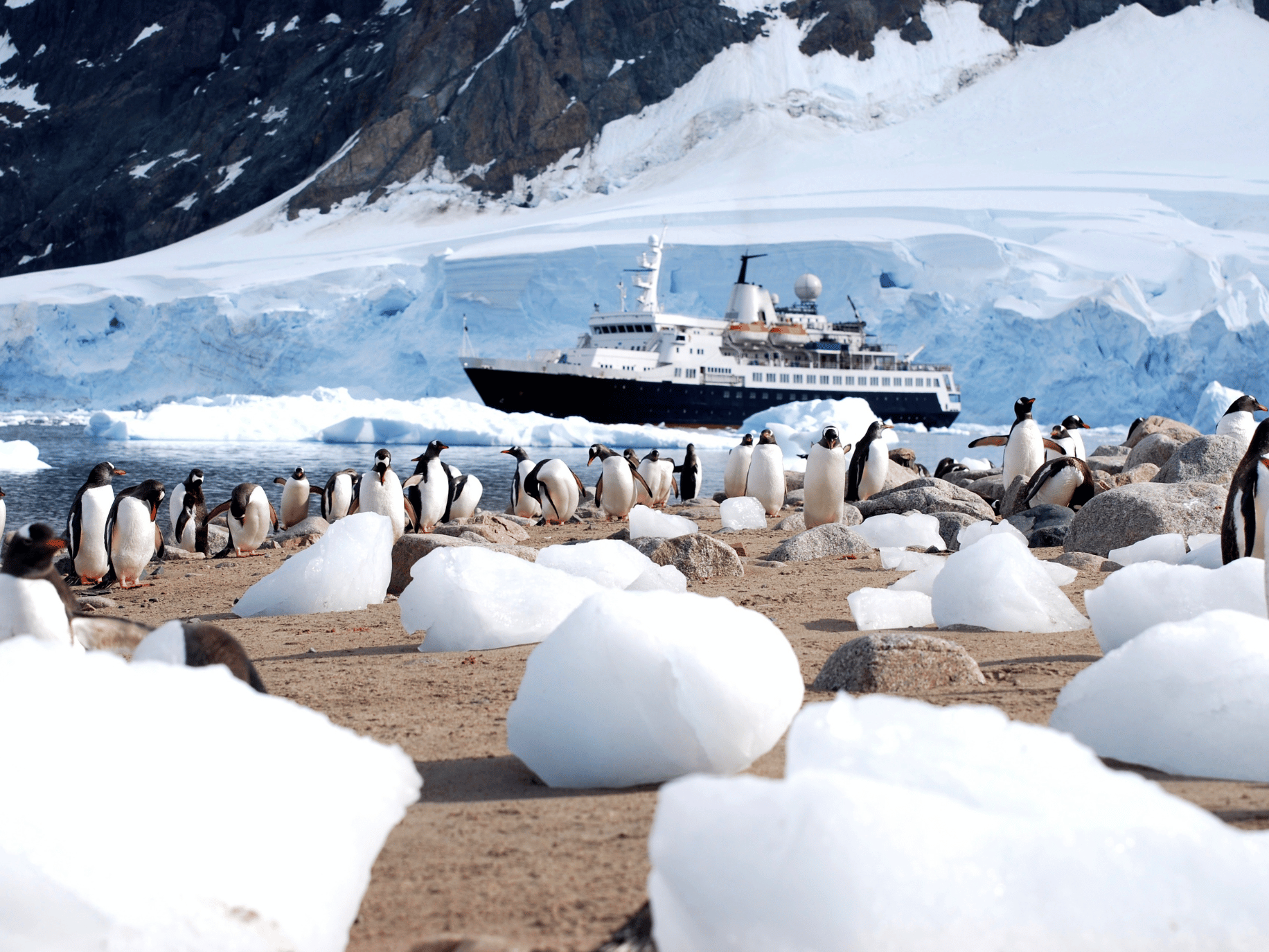 Expedition ship crusing through snowy area with glacier and penguins