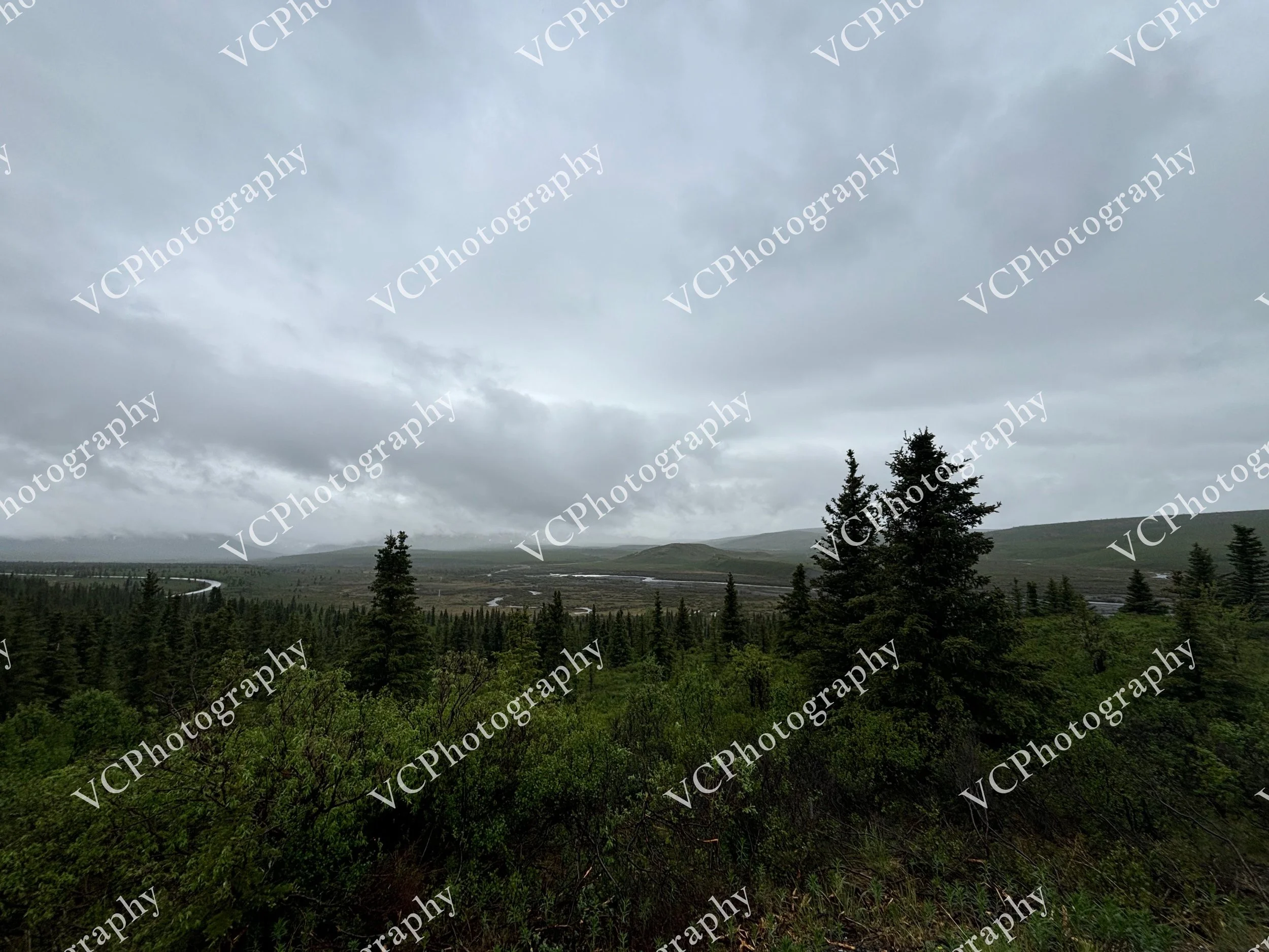 Denali National Park