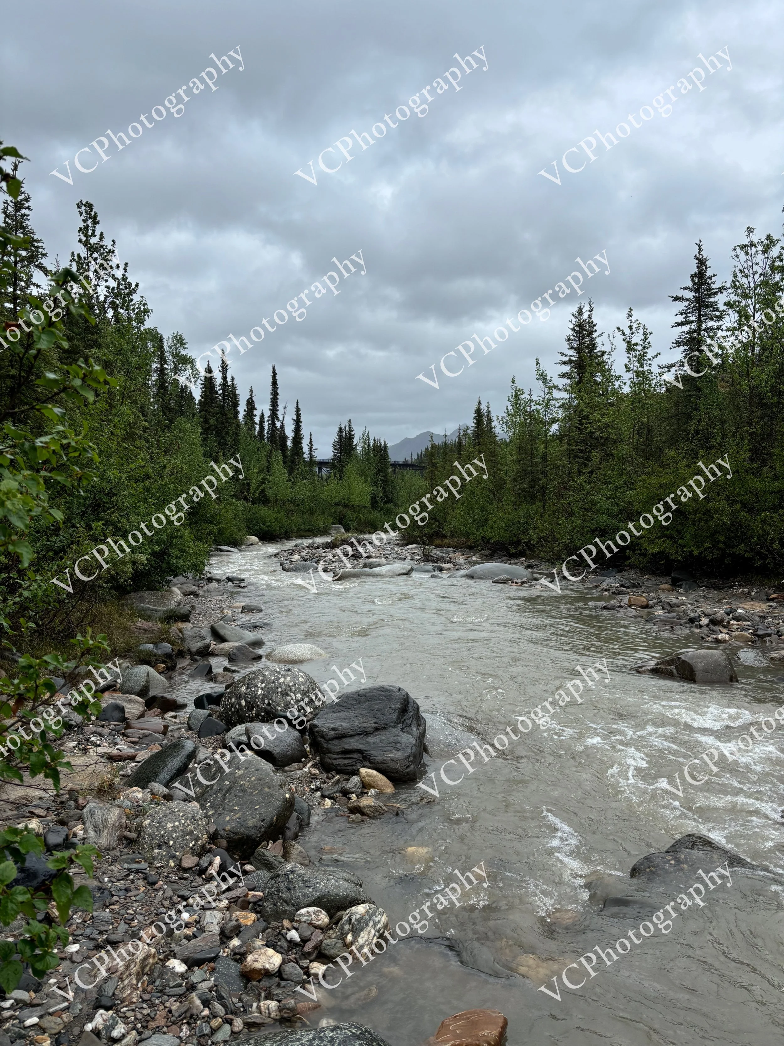 IMG_3479.JPG