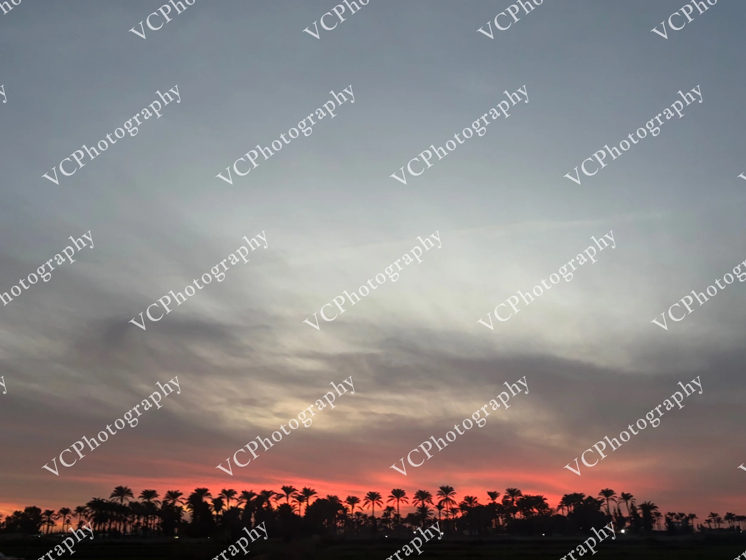 IMG_8175.JPG