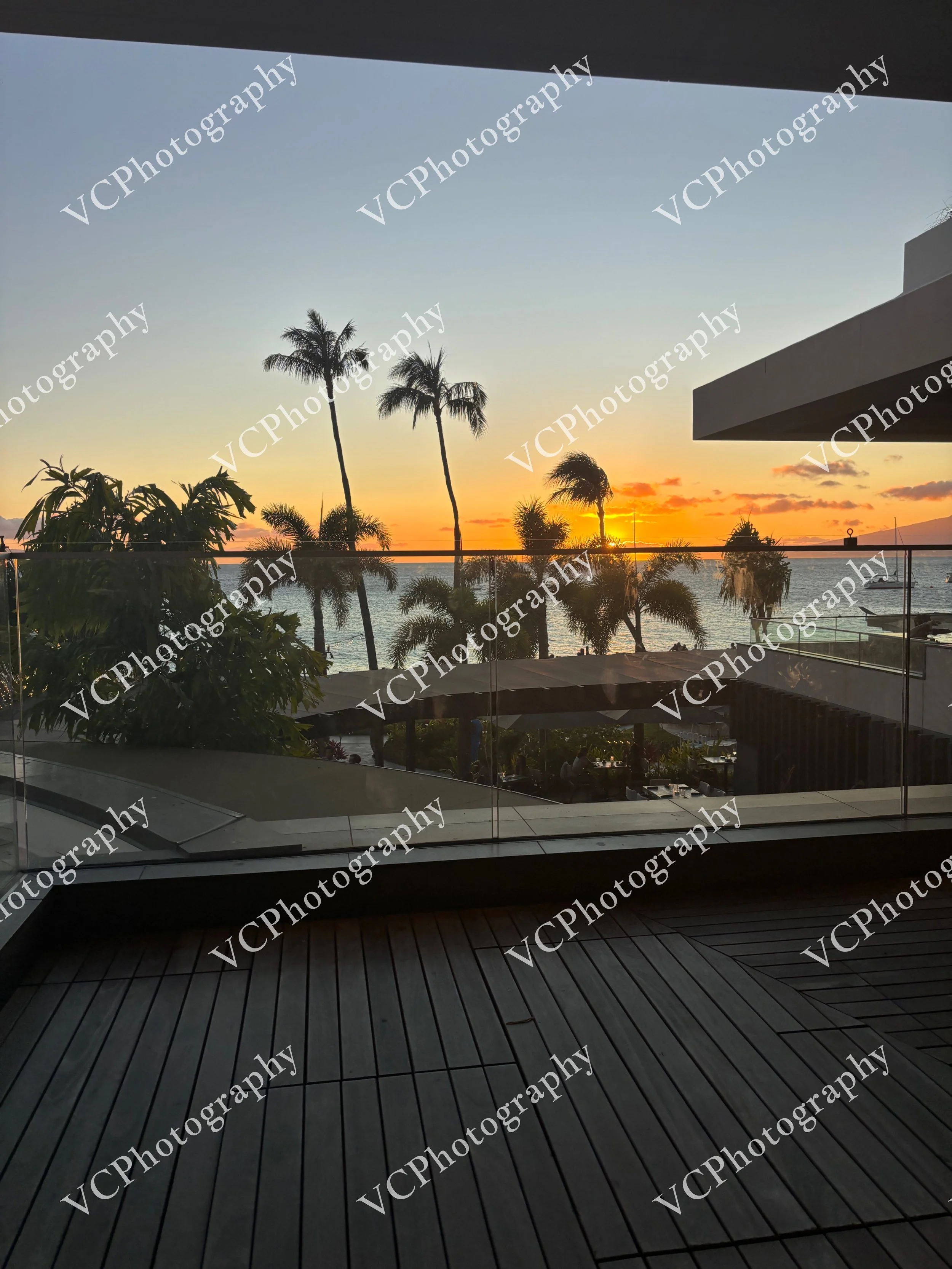 Exclusive View