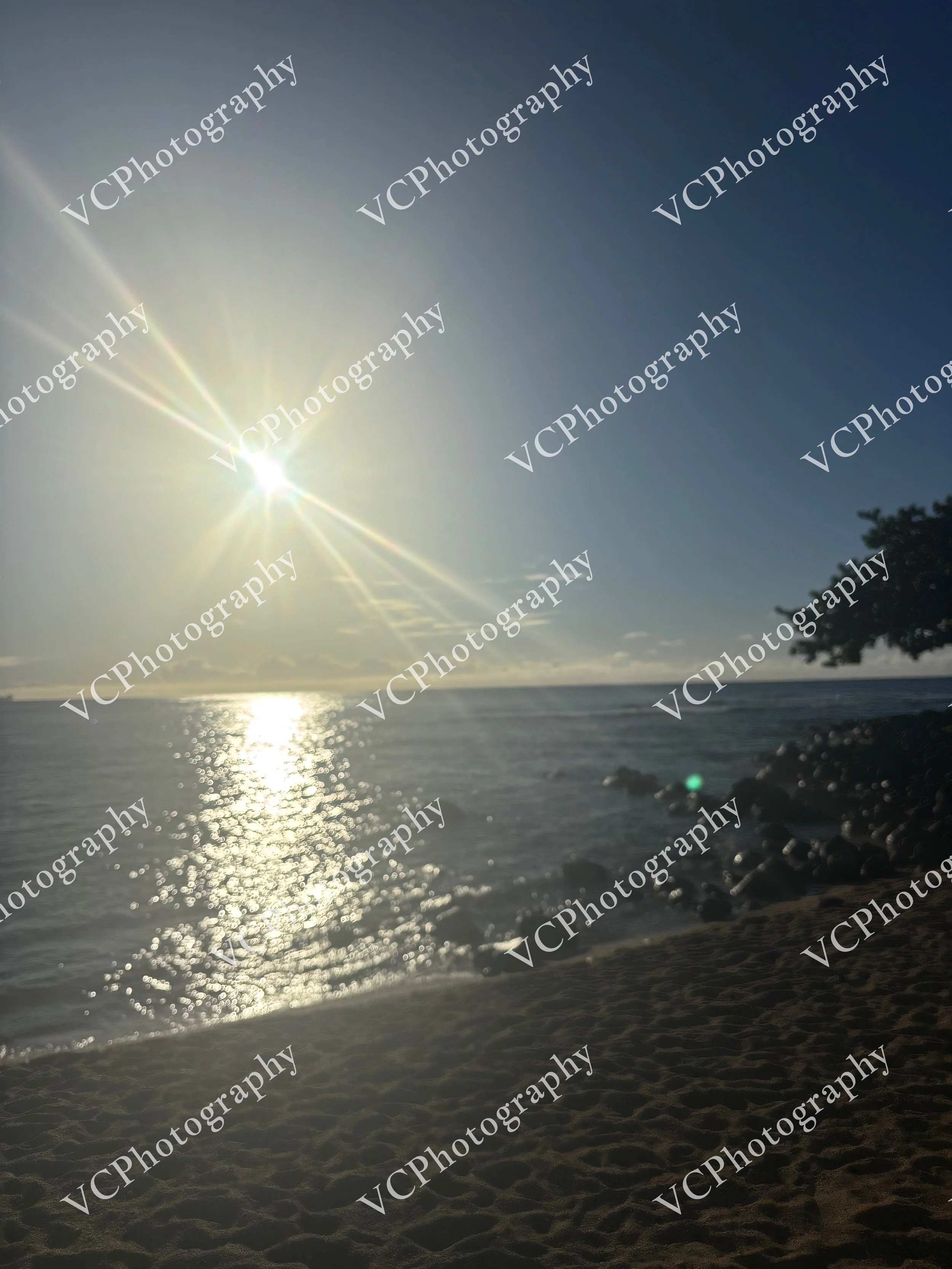 IMG_8221.jpeg