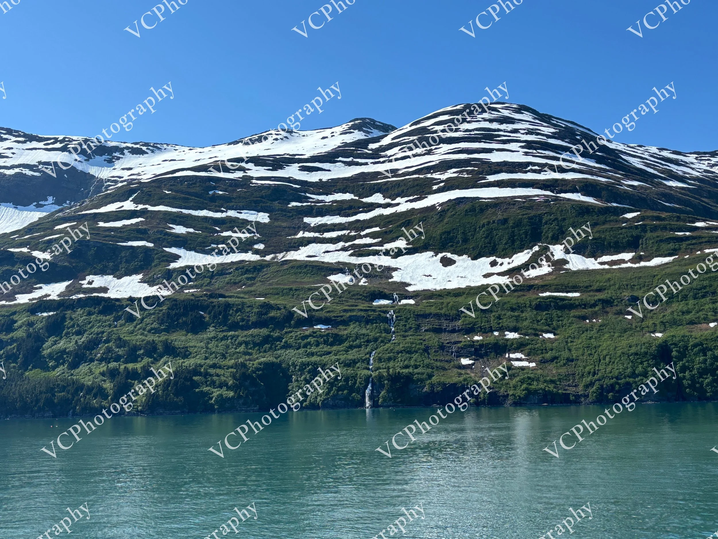 IMG_3334.JPG