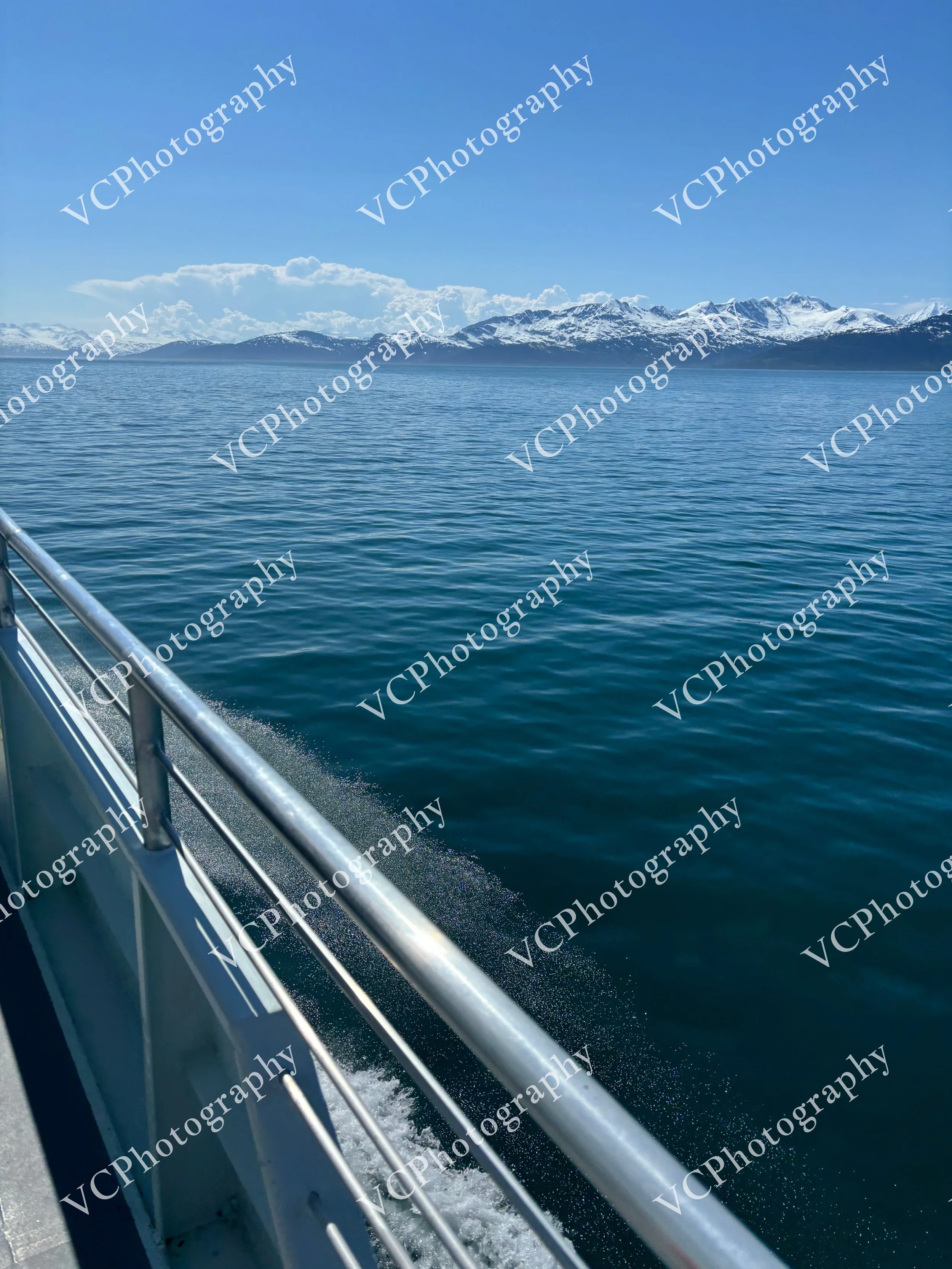 IMG_3312.JPG