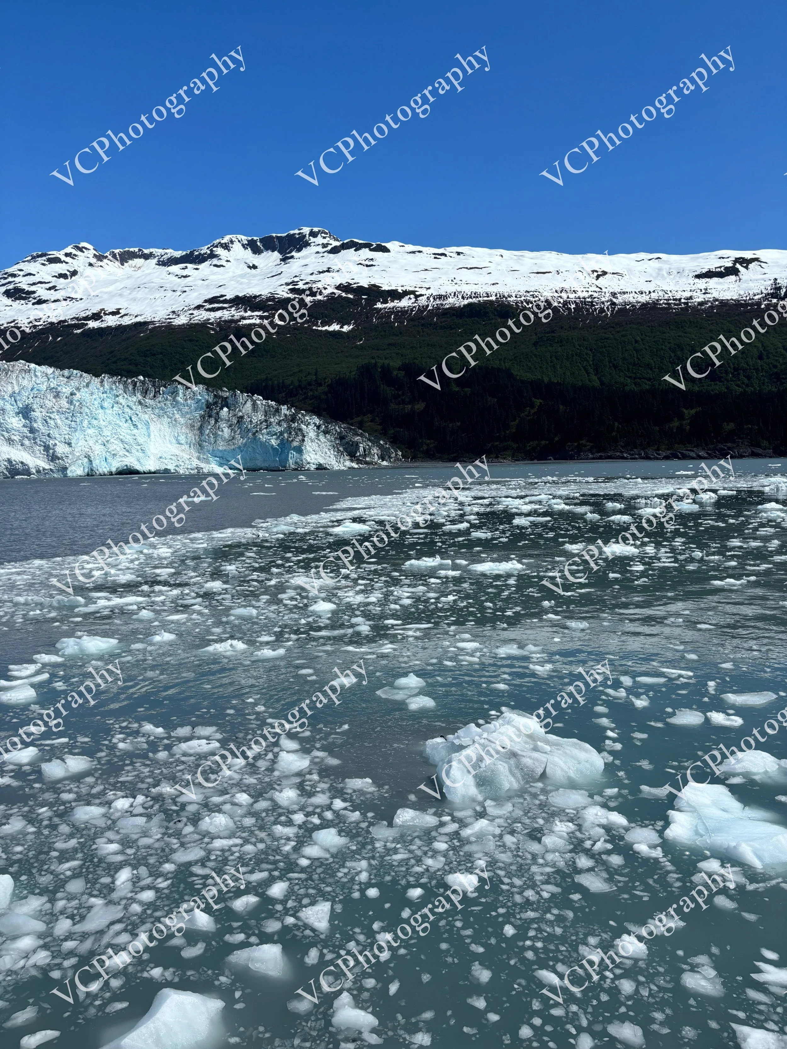 Pack Ice