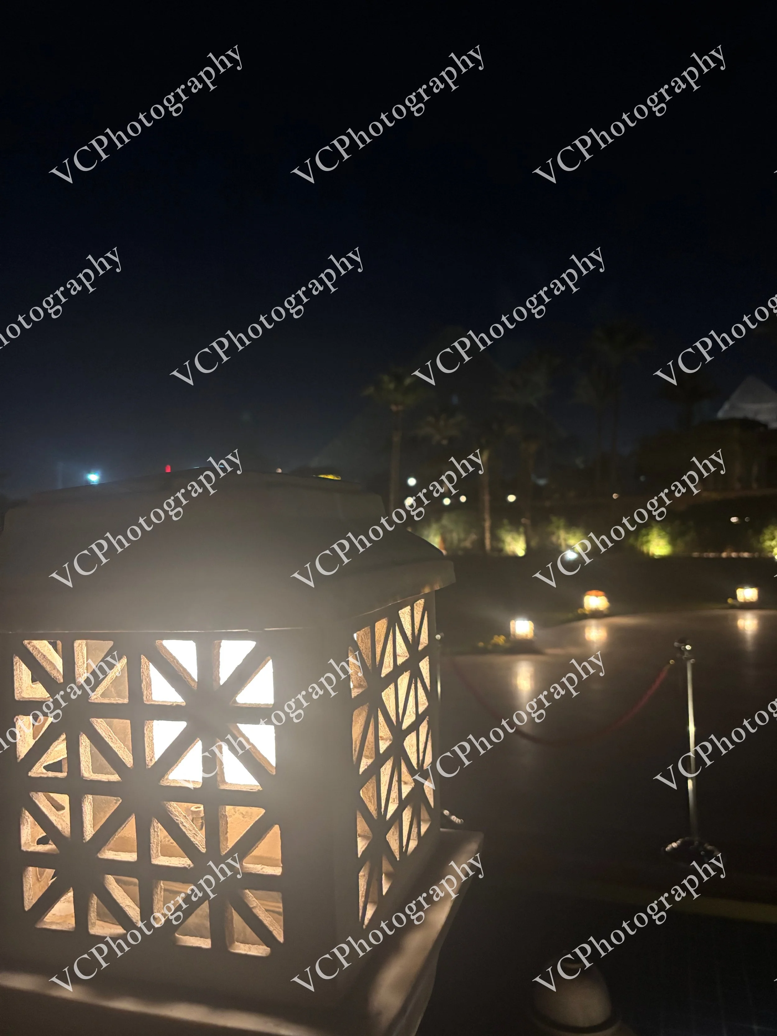 IMG6249.jpeg