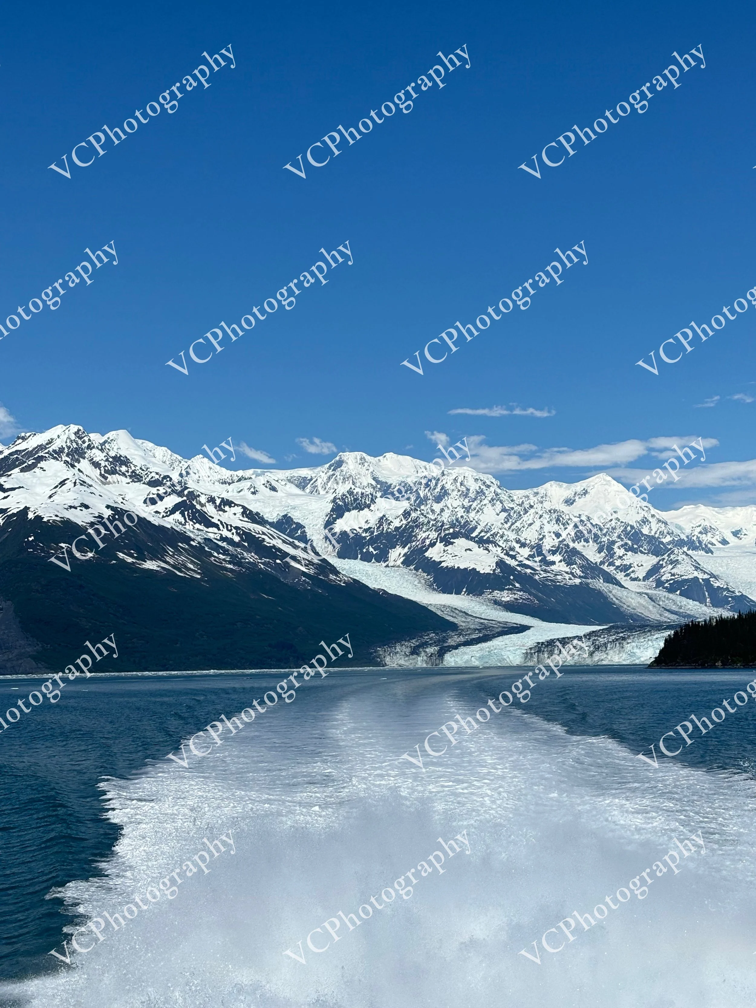 Glacier Trail