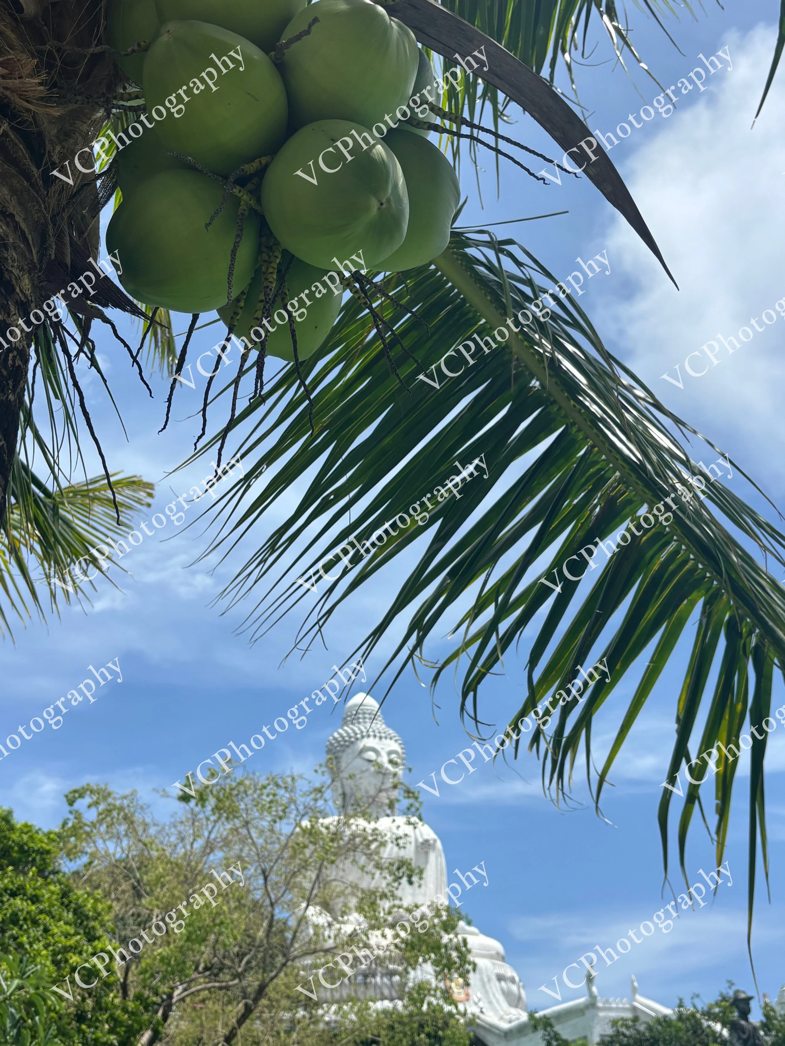 Coconut Spirituality