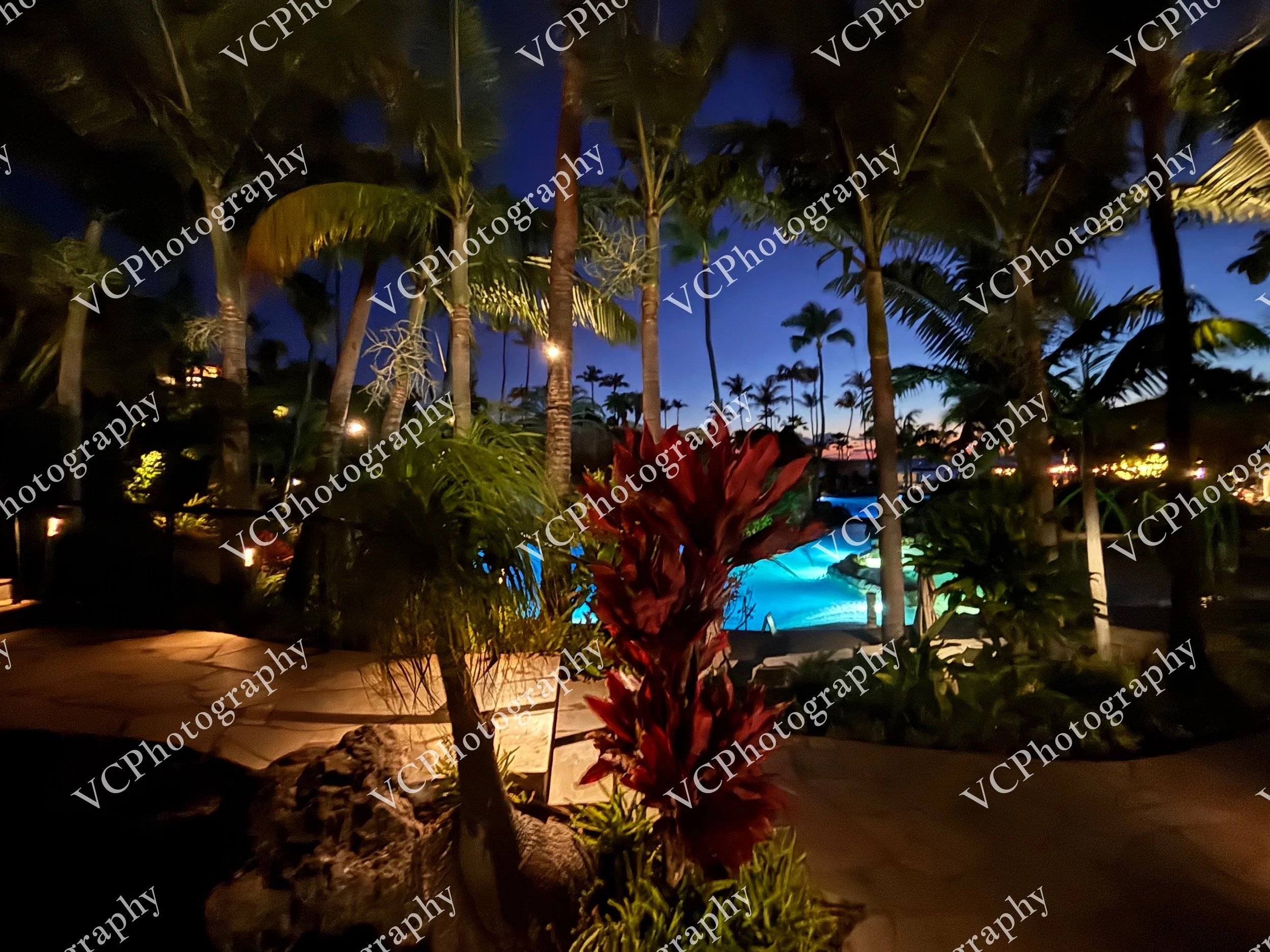 Foliage Jungle