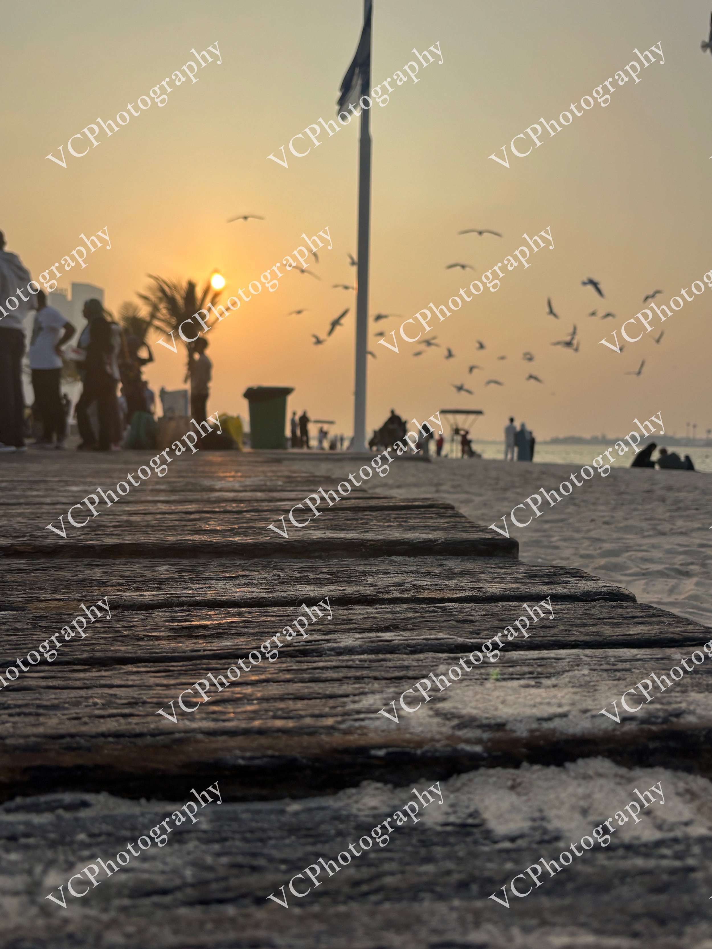 IMG_8161.JPG