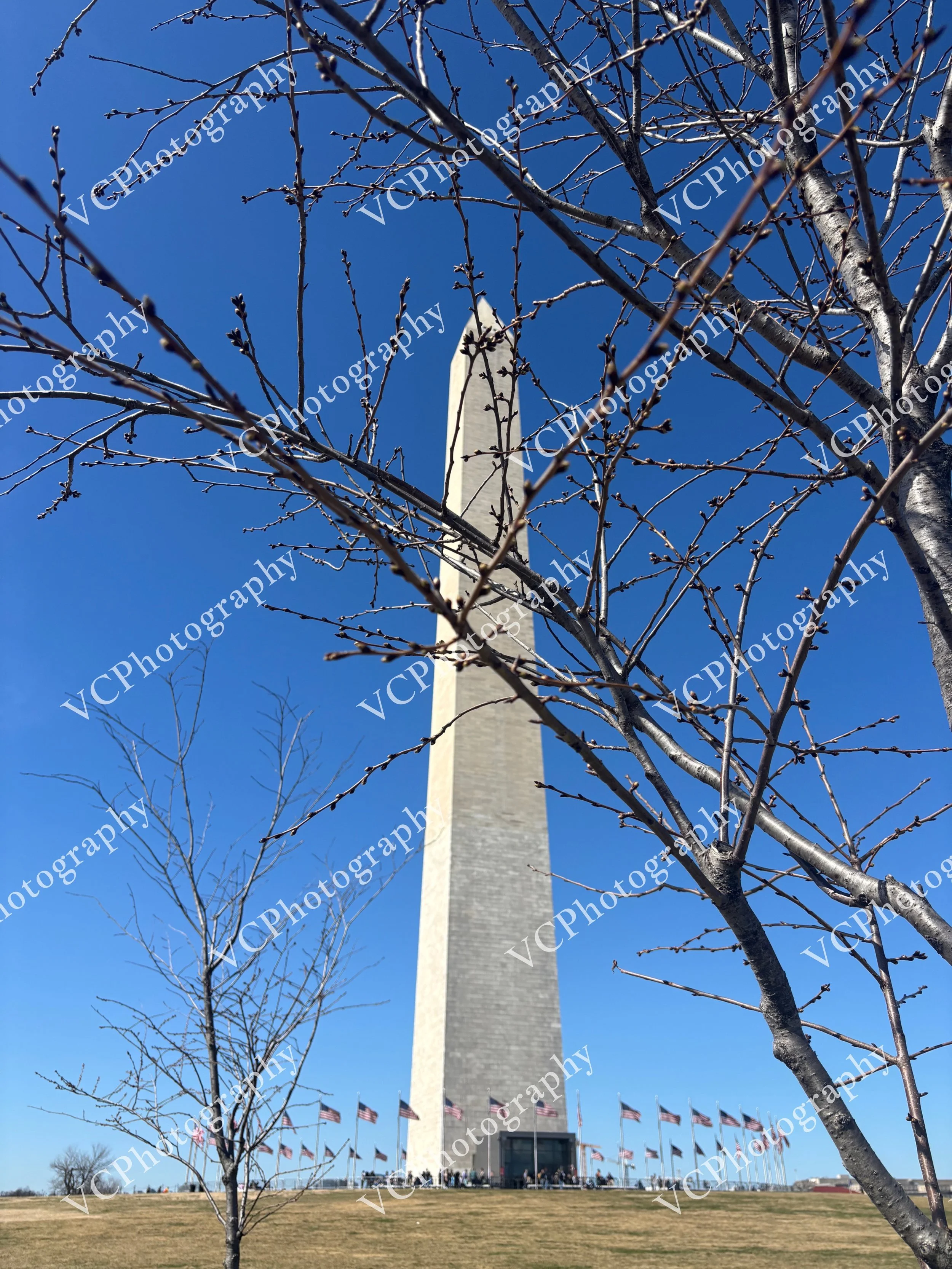 Winter in Washington