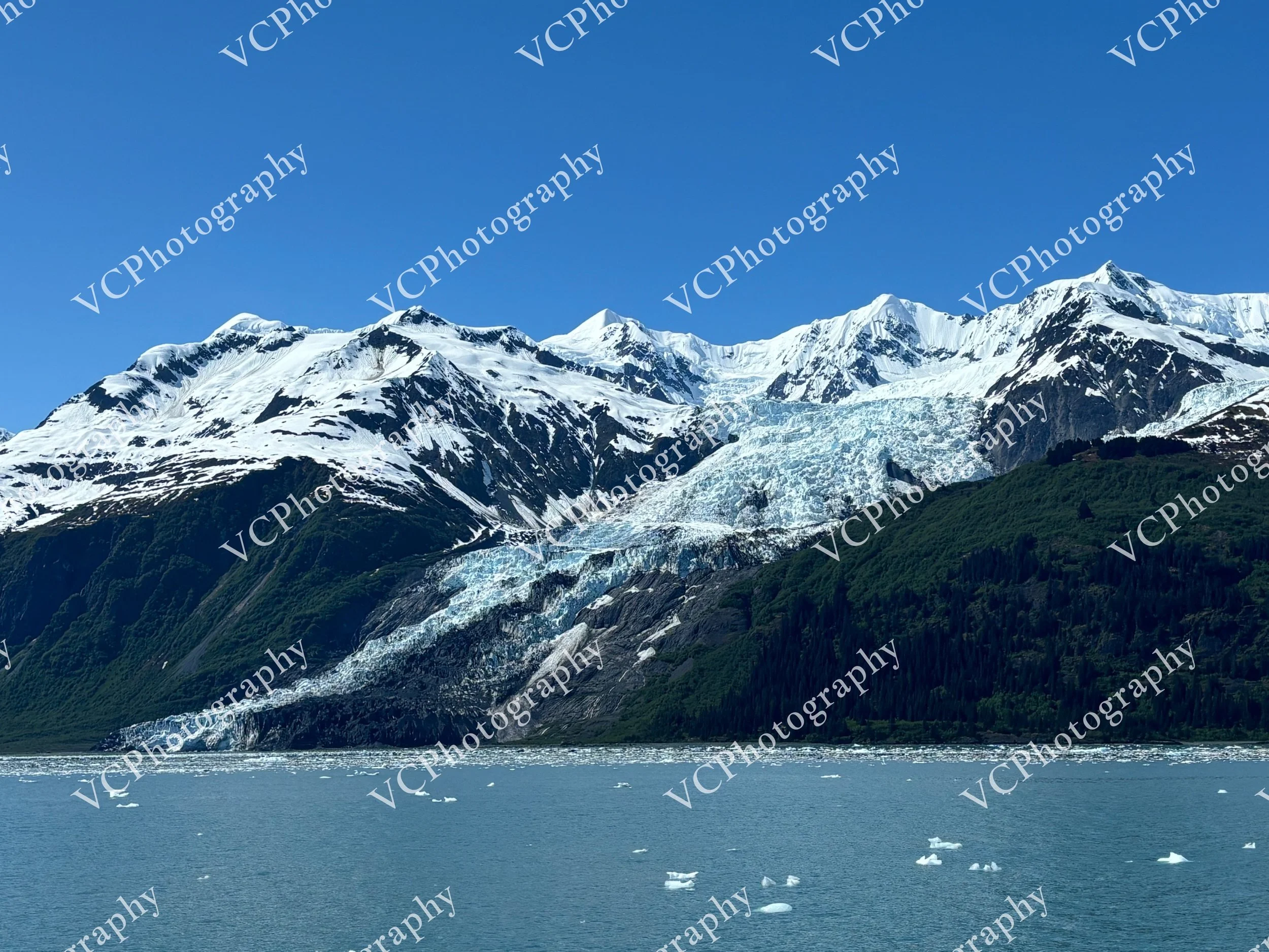 IMG_3478.JPG