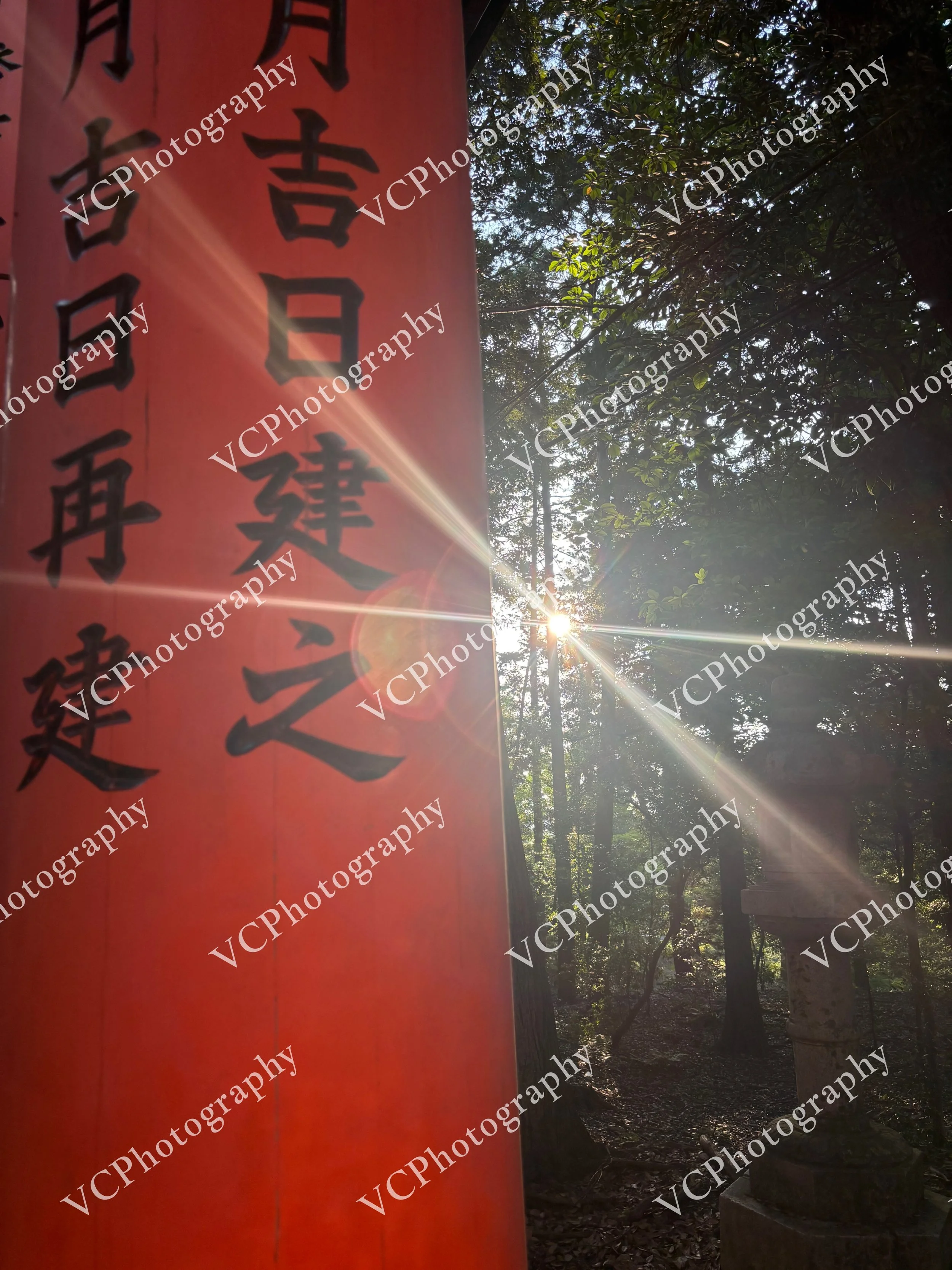 Sign of the Forest Spirit
