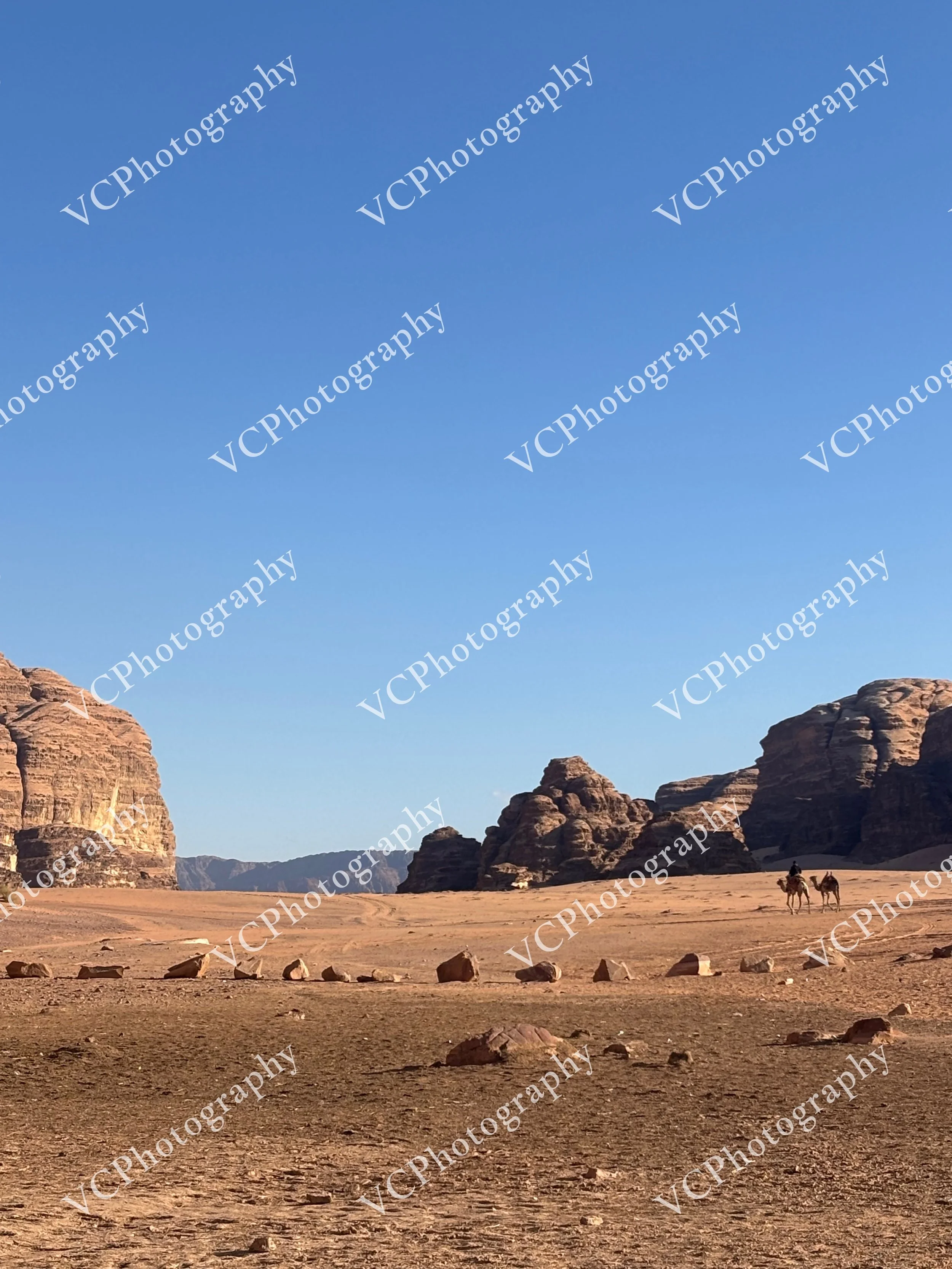 Camel Trek