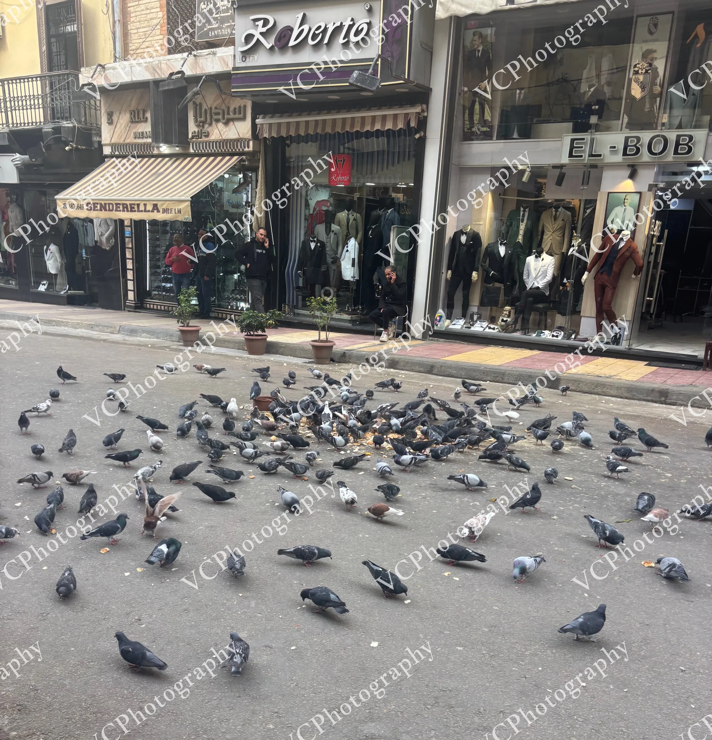 IMG_8224.jpeg