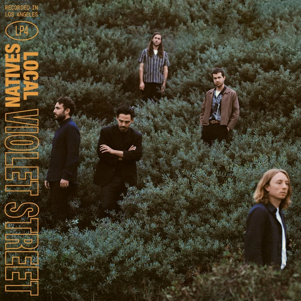 Local Natives - Violet Street - Assistant Engineer