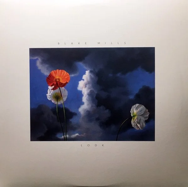 Blake Mills - Look - Assistant Engineer