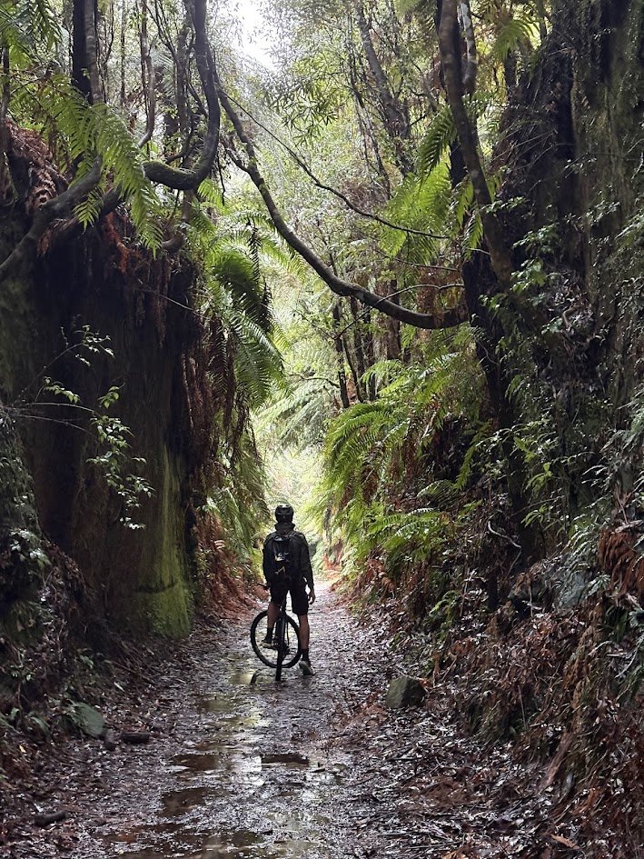  Conquering the Timber Trail: 84km of Suspension Bridges, Mud, and Magic