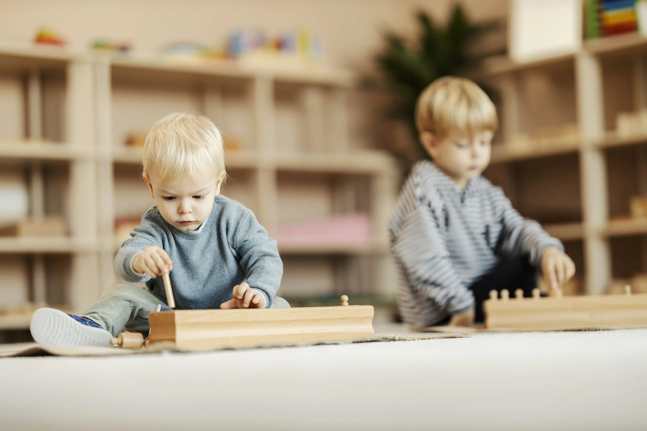 Montessori Parent-Toddler Programme