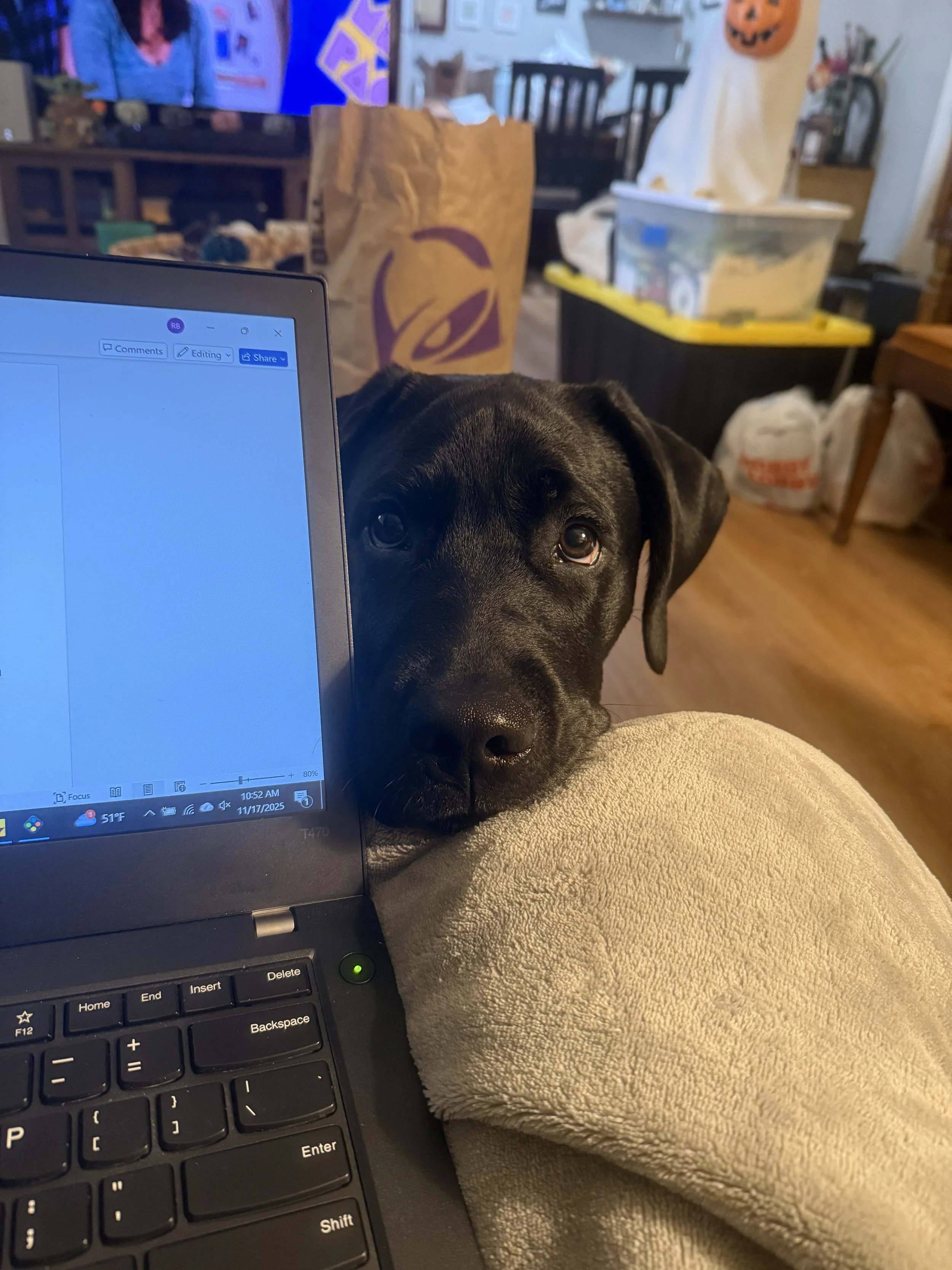 curious Tuck