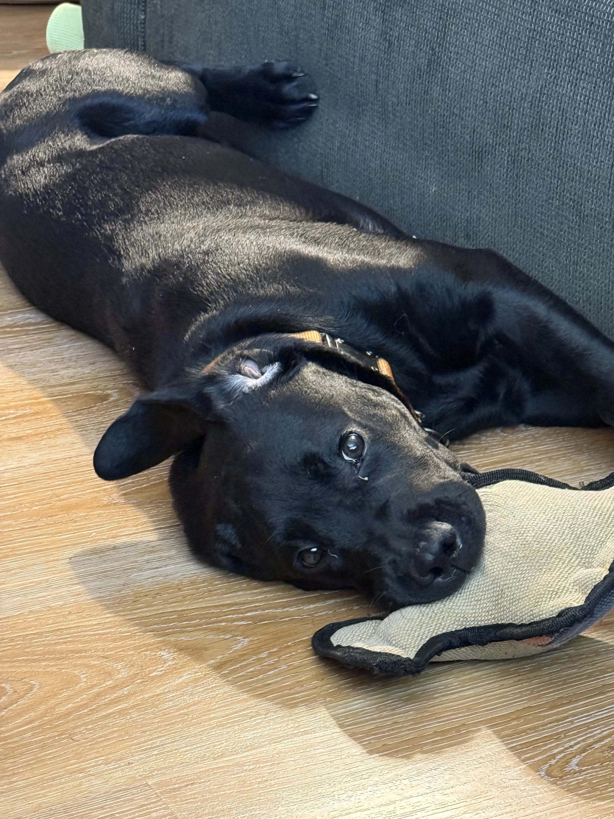 Come On In, the House is Looking Very Much Lived-In