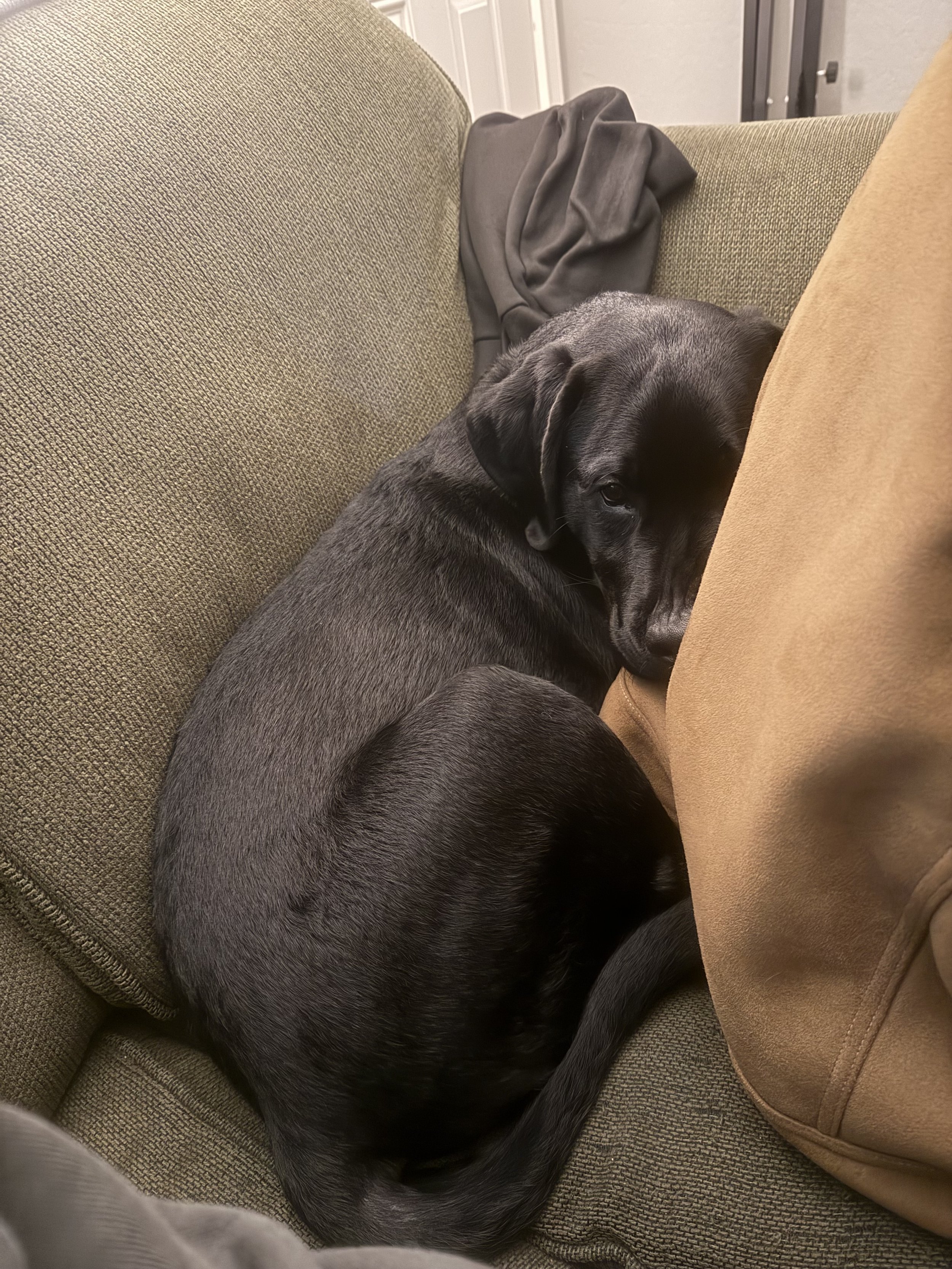 Snuggly Tuck