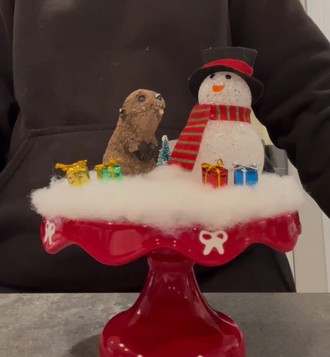 My Christmas project!