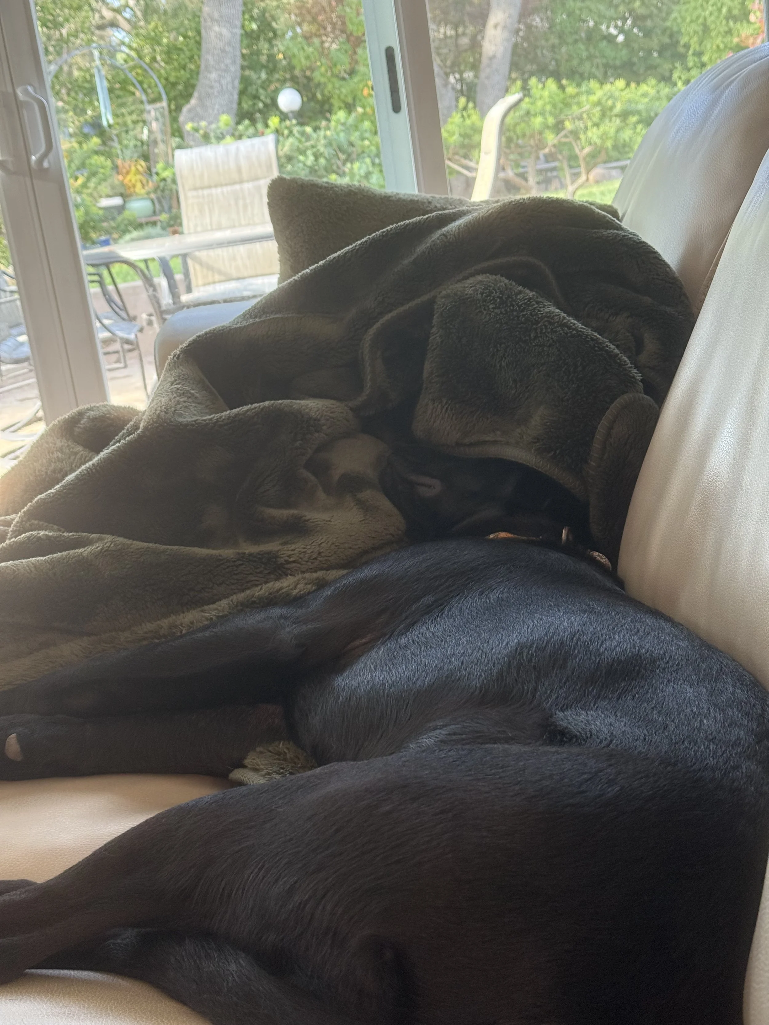 Sleepy Tuck 