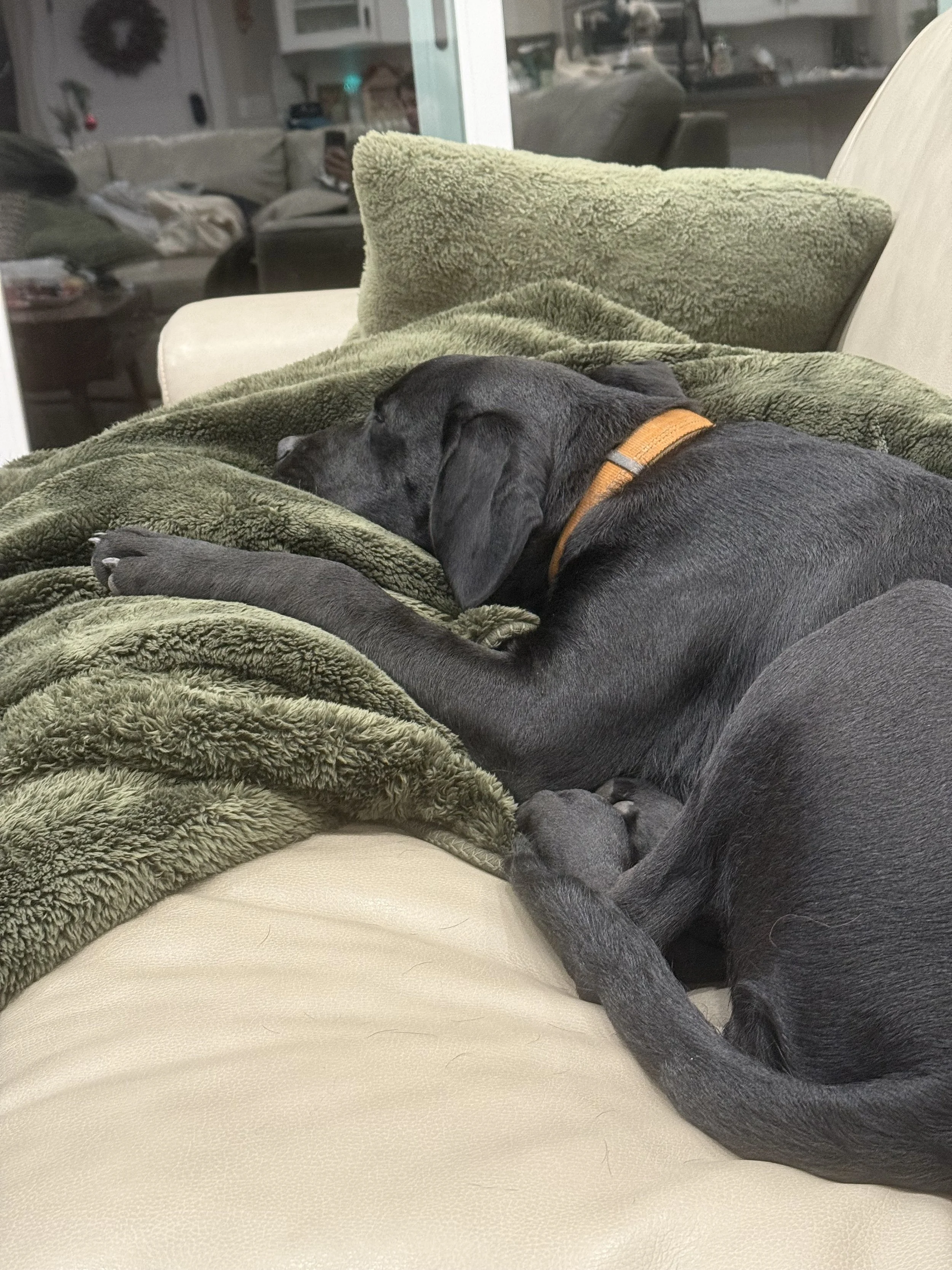 Another Wild Sleepy Tuck