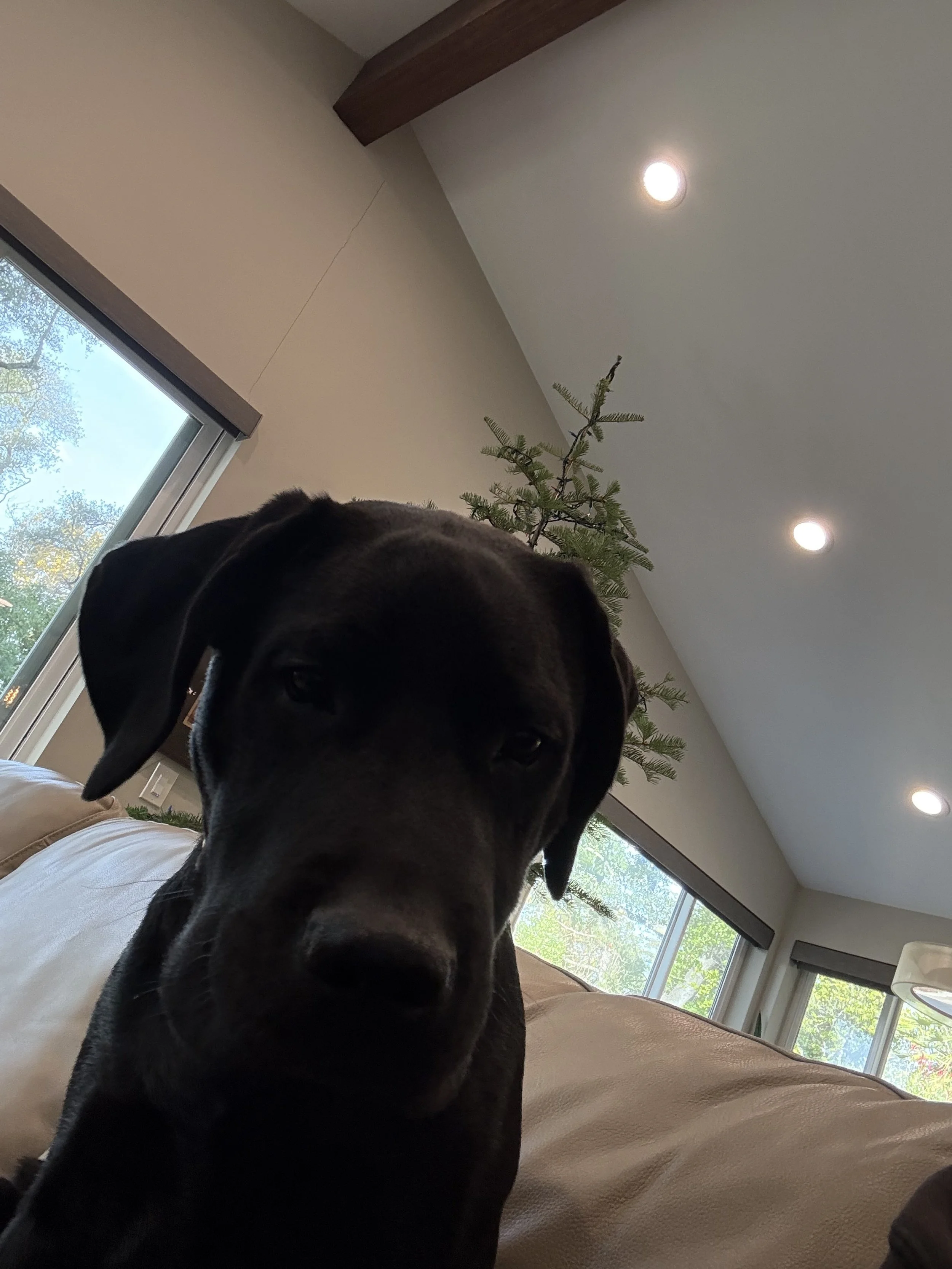 Tucker wanted to say hi!