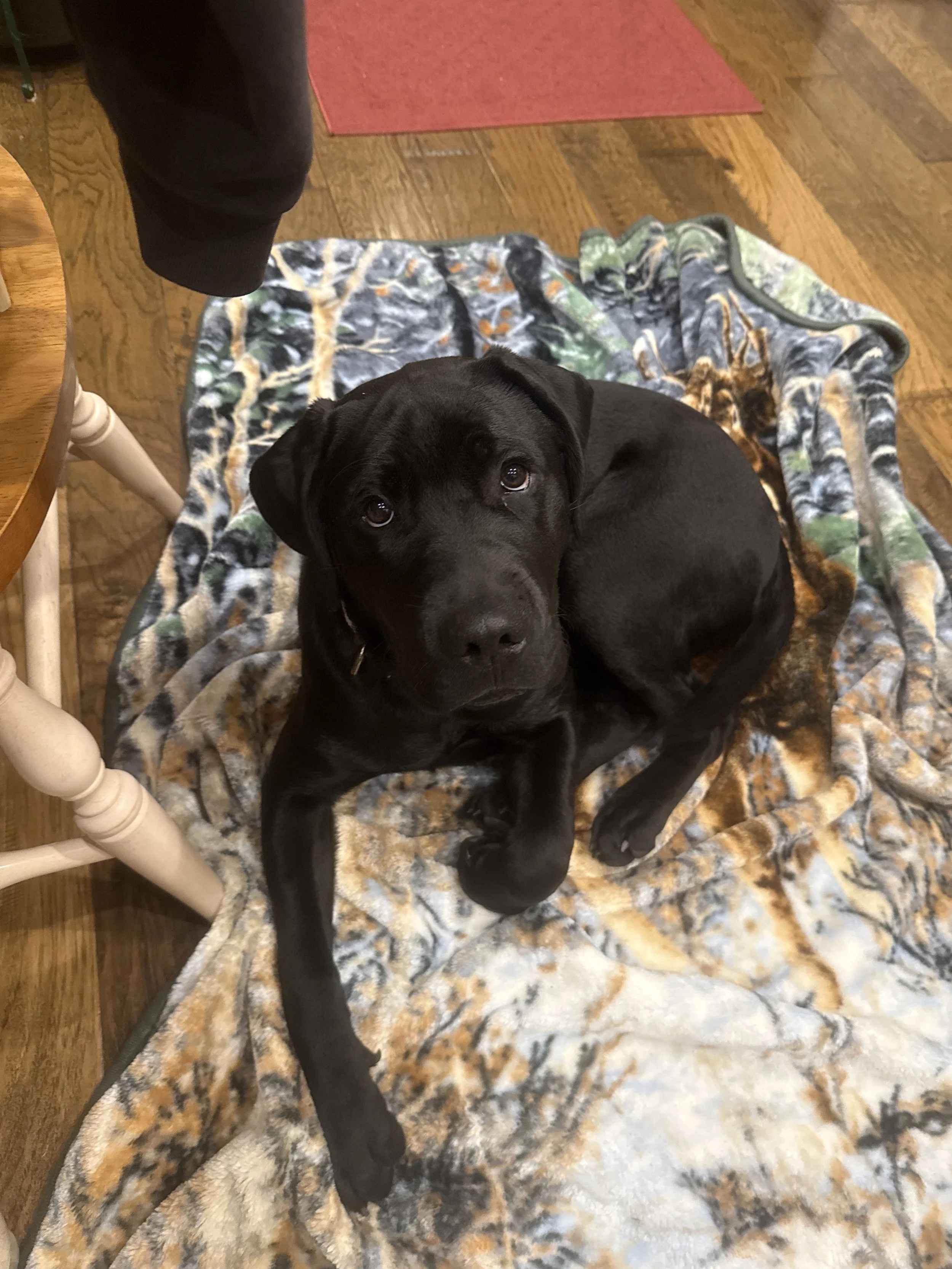 my baking buddy