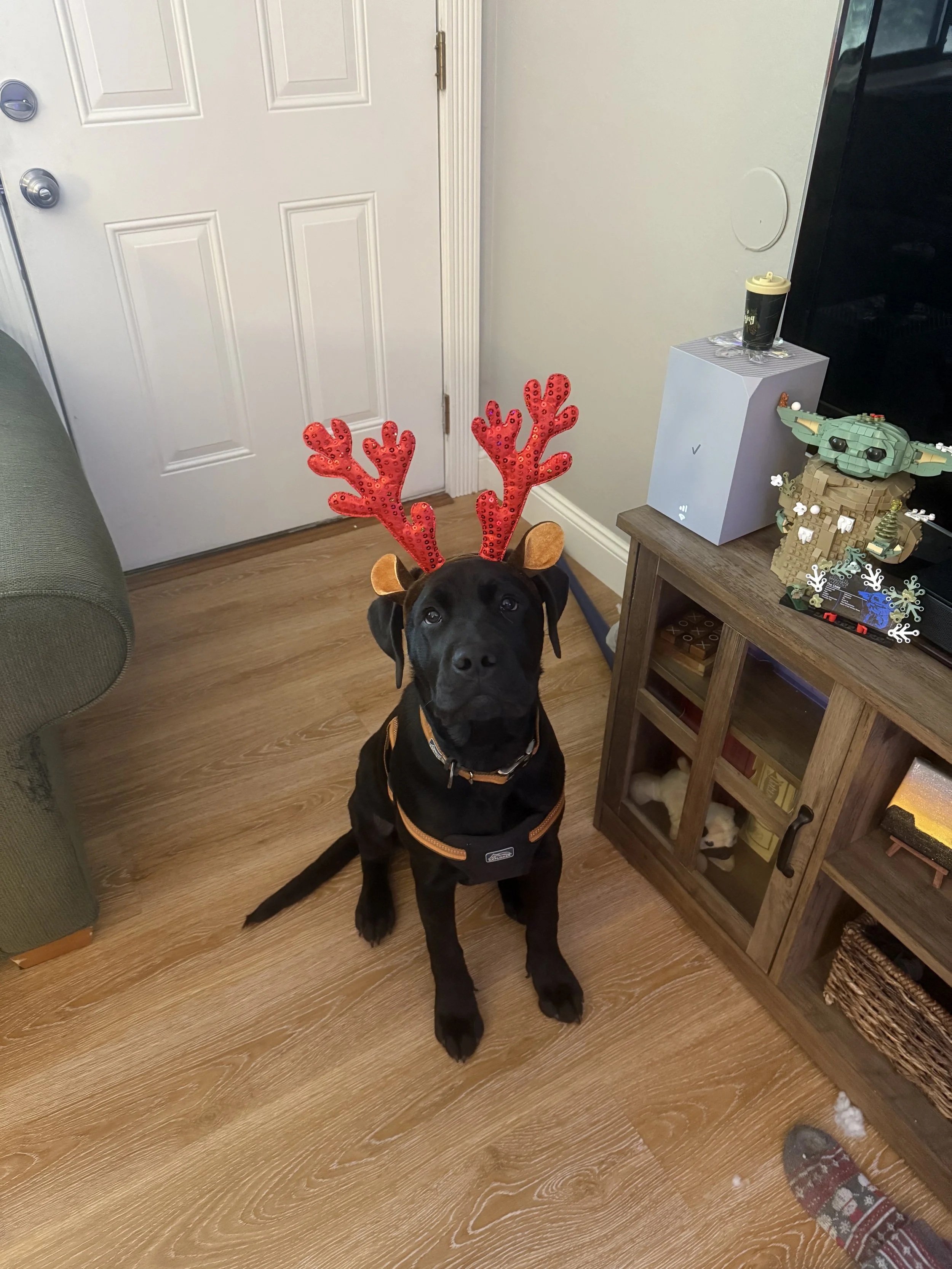 reindeer Tuck!