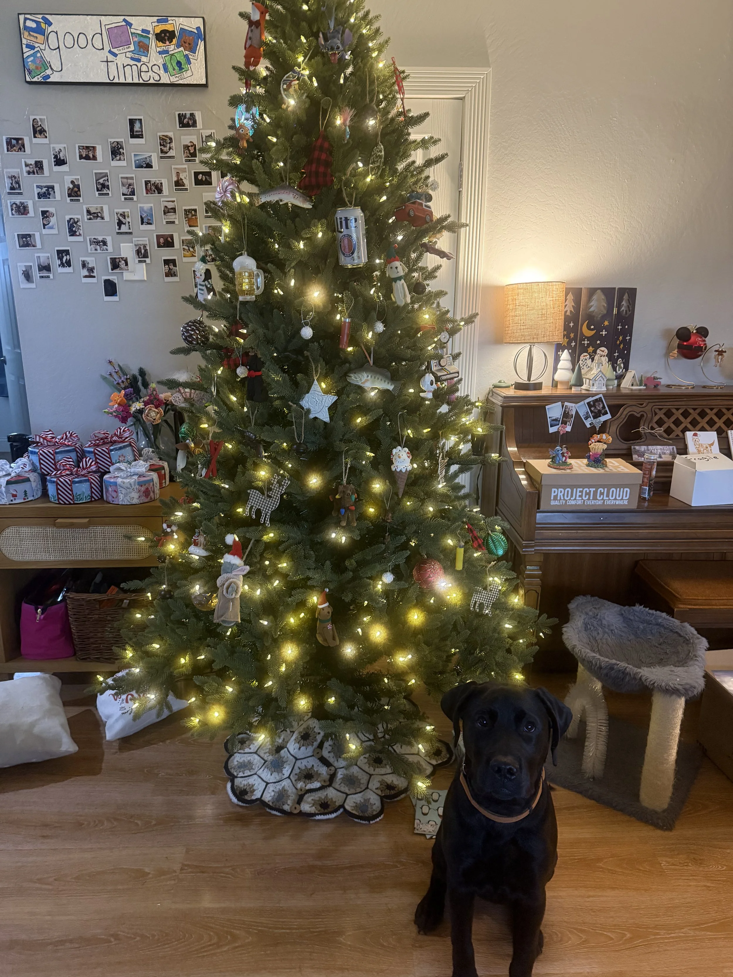 Our Christmas Tree and Pup