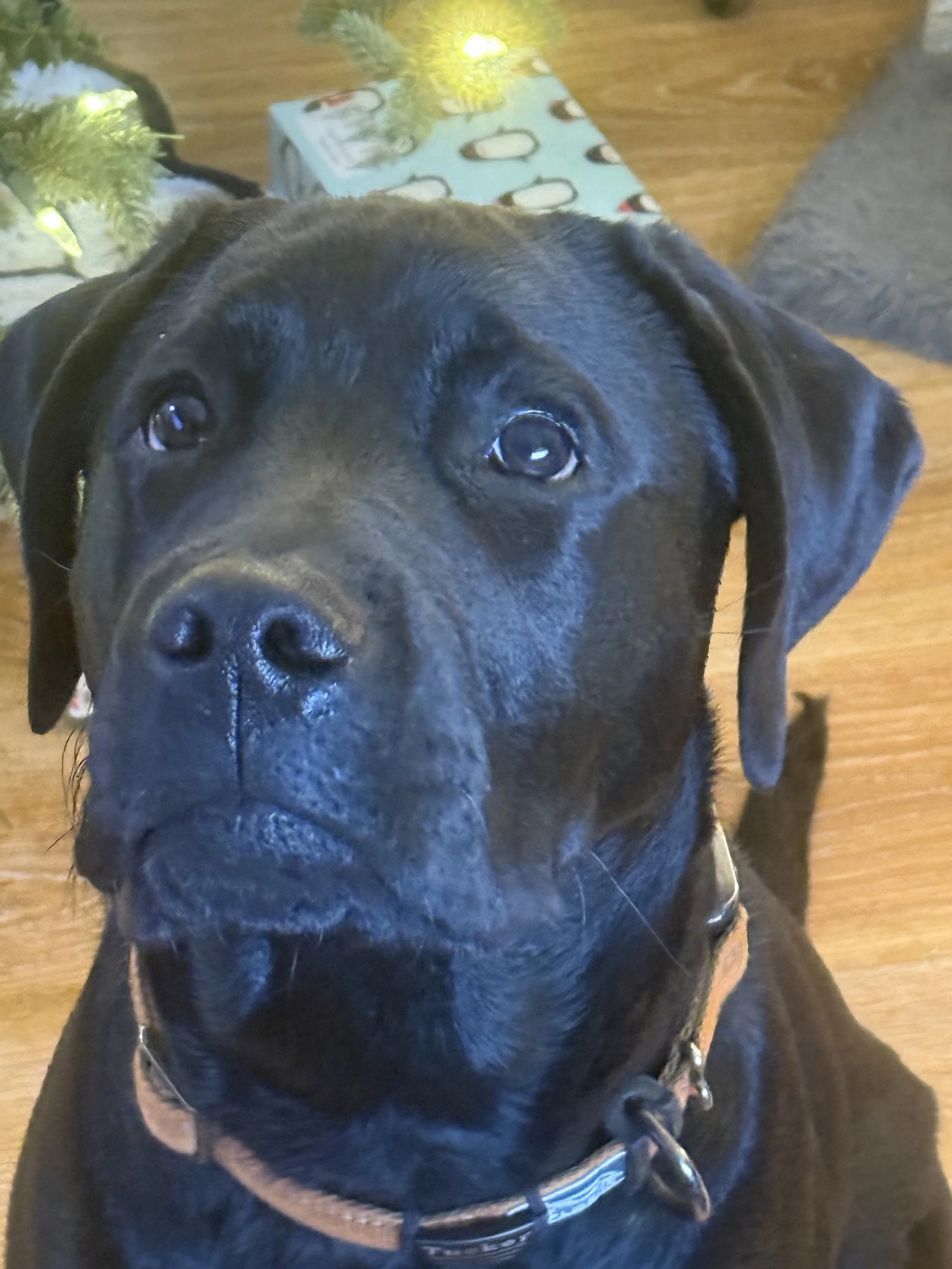 What A Good and Cute Boy <3