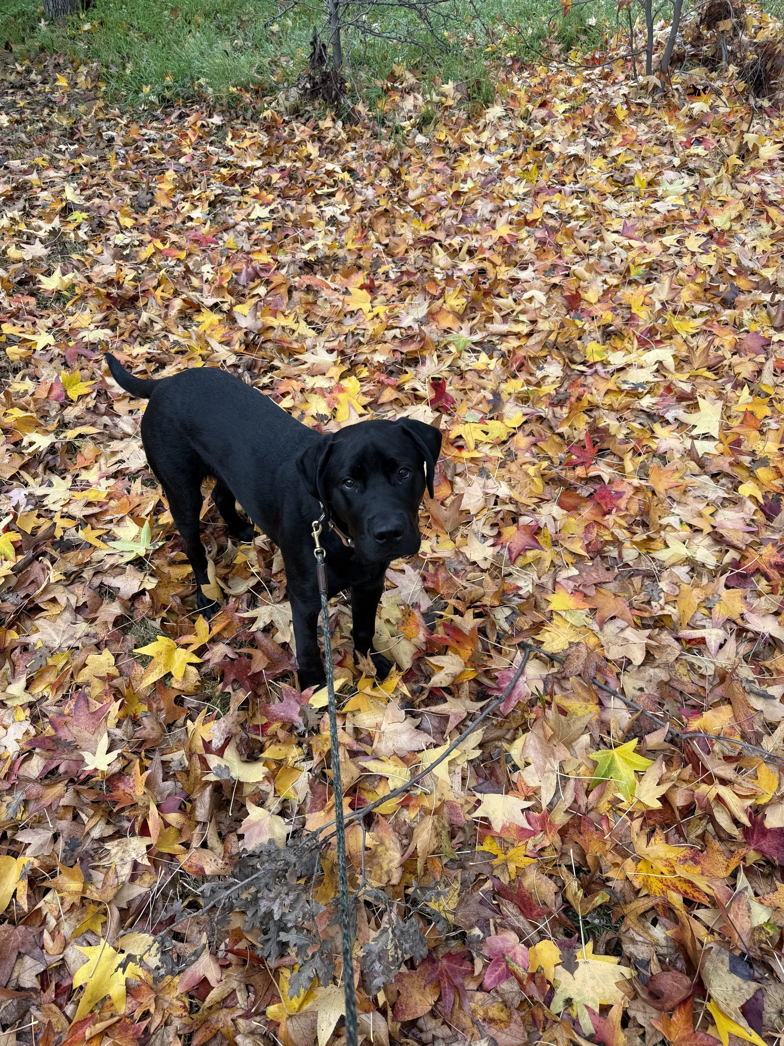 Trying To Break The Cycle