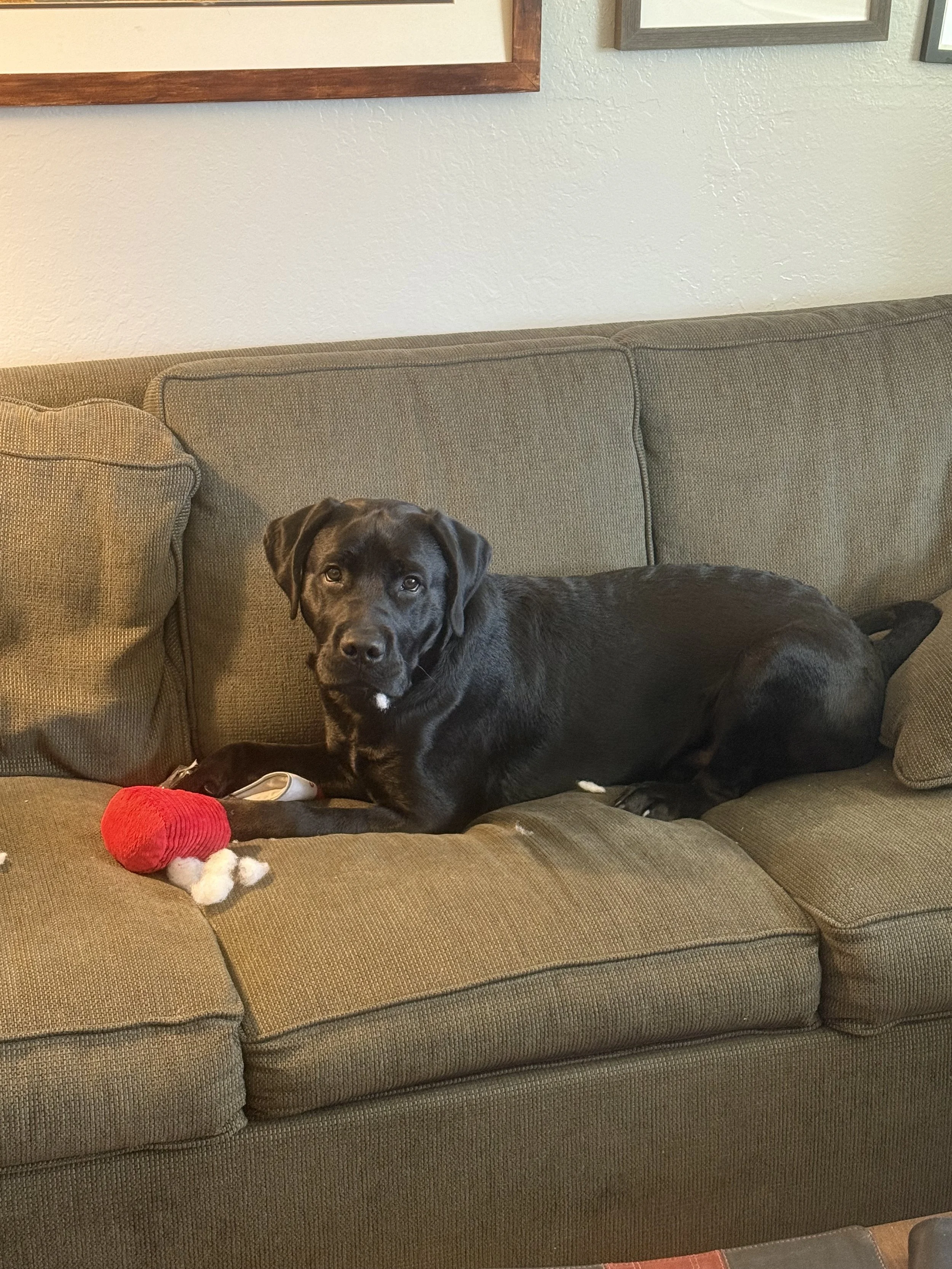 Getting to Have Sibling Bonding Time with My Brother and Finally Reading!